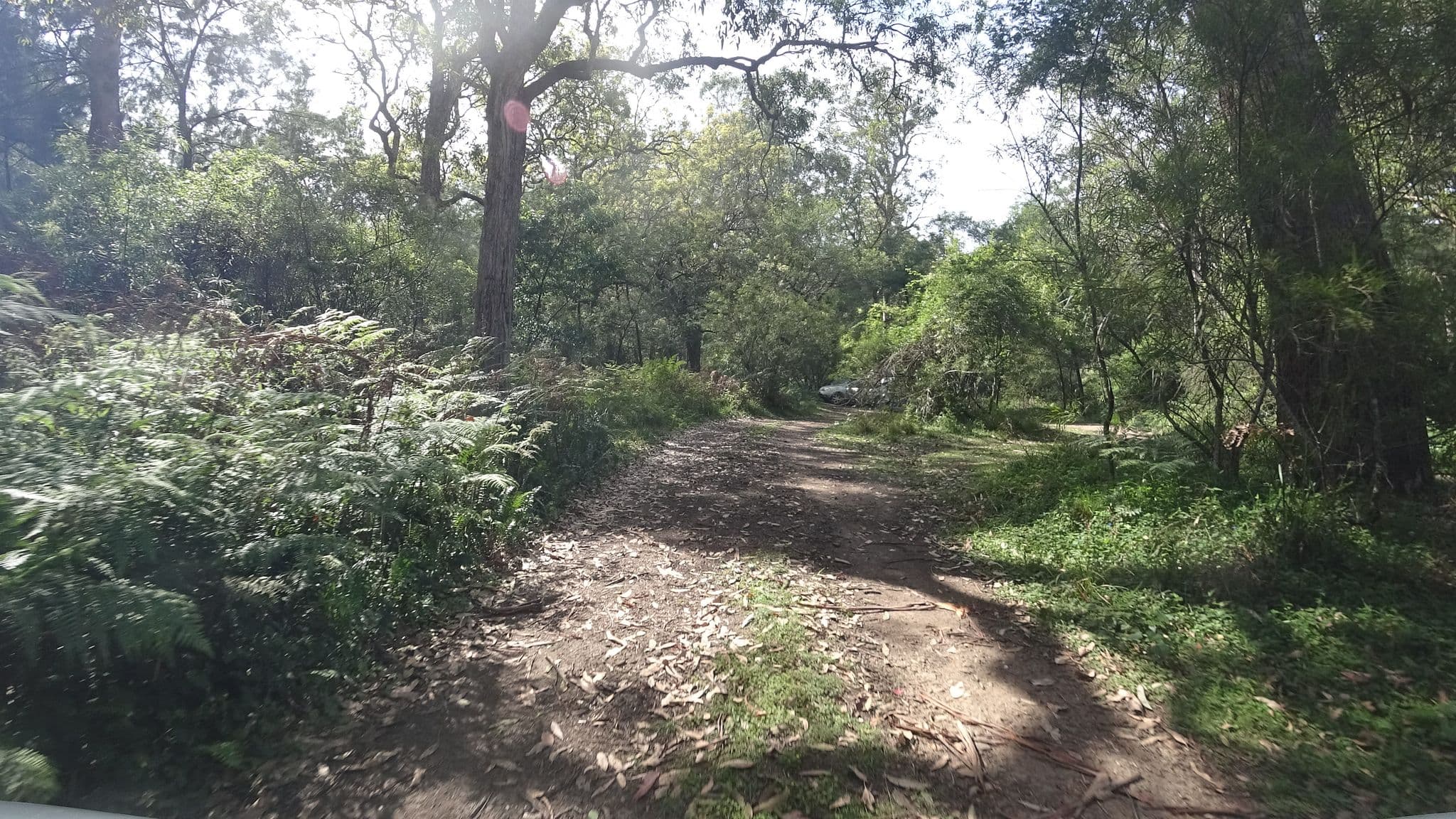 Street view near Long Gully 1, Burrill Lake — © aharvey (CC BY-SA · Mapillary)