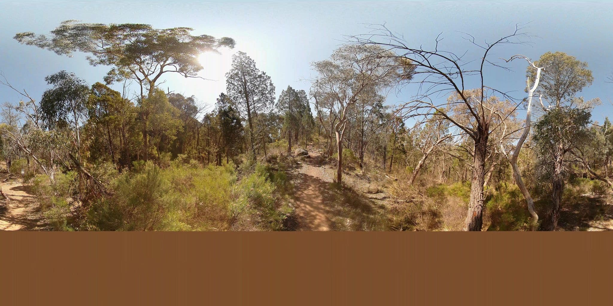 Street view near Dows Camp, Coonabarabran — © Wallaby (CC BY-SA · Mapillary)