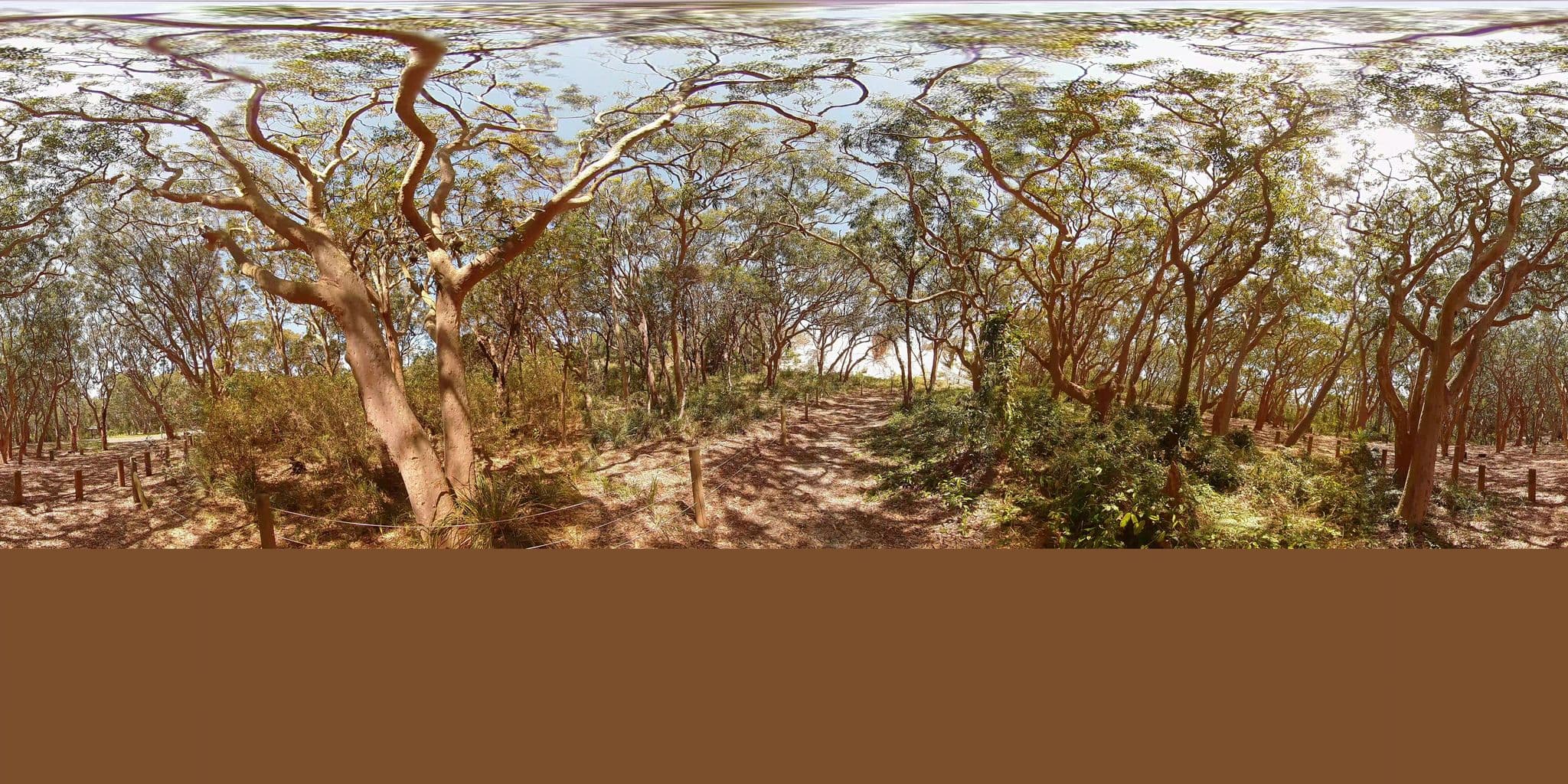 Street view near Stewart & Lloyds Camping Area, Hawks Nest — © Eucalyptus (CC BY-SA · Mapillary)