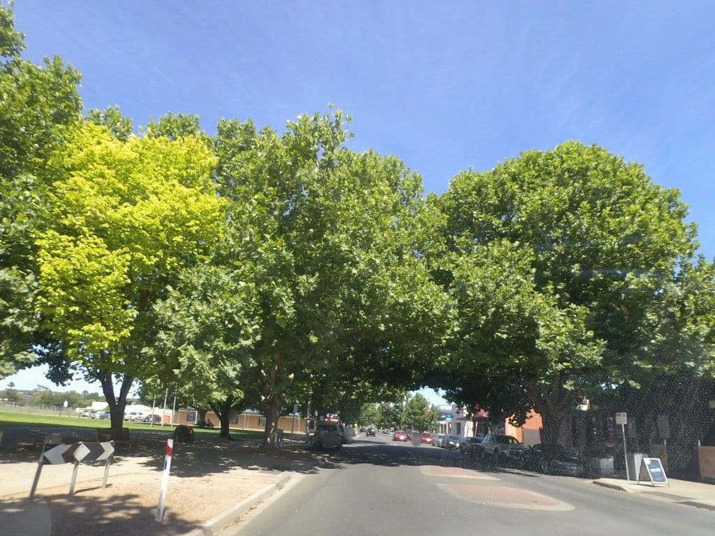 Street view near Young&main, Bacchus Marsh — © mander (CC BY-SA · Mapillary)