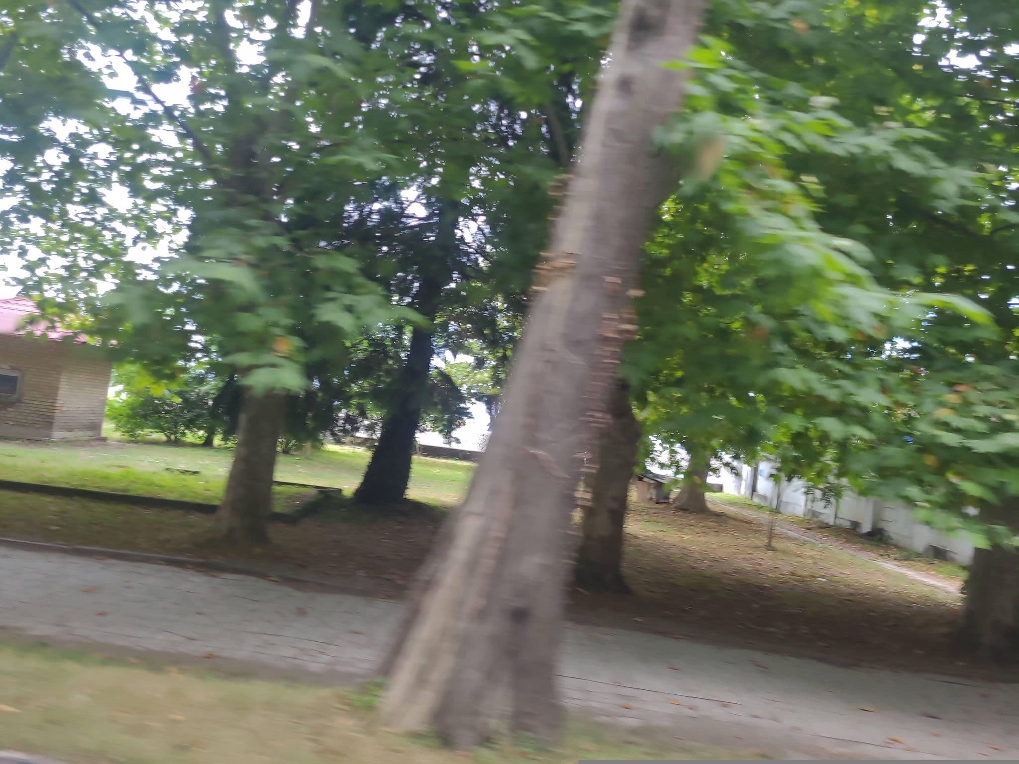 Street view near Sanapiro, Makhinjauri — © matsumi (CC BY-SA · Mapillary)