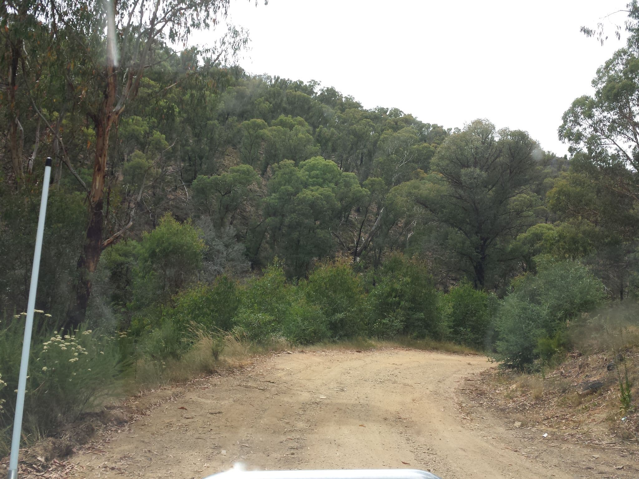 Street view near Lloyds Hut, Heyfield — © stev391 (CC BY-SA · Mapillary)