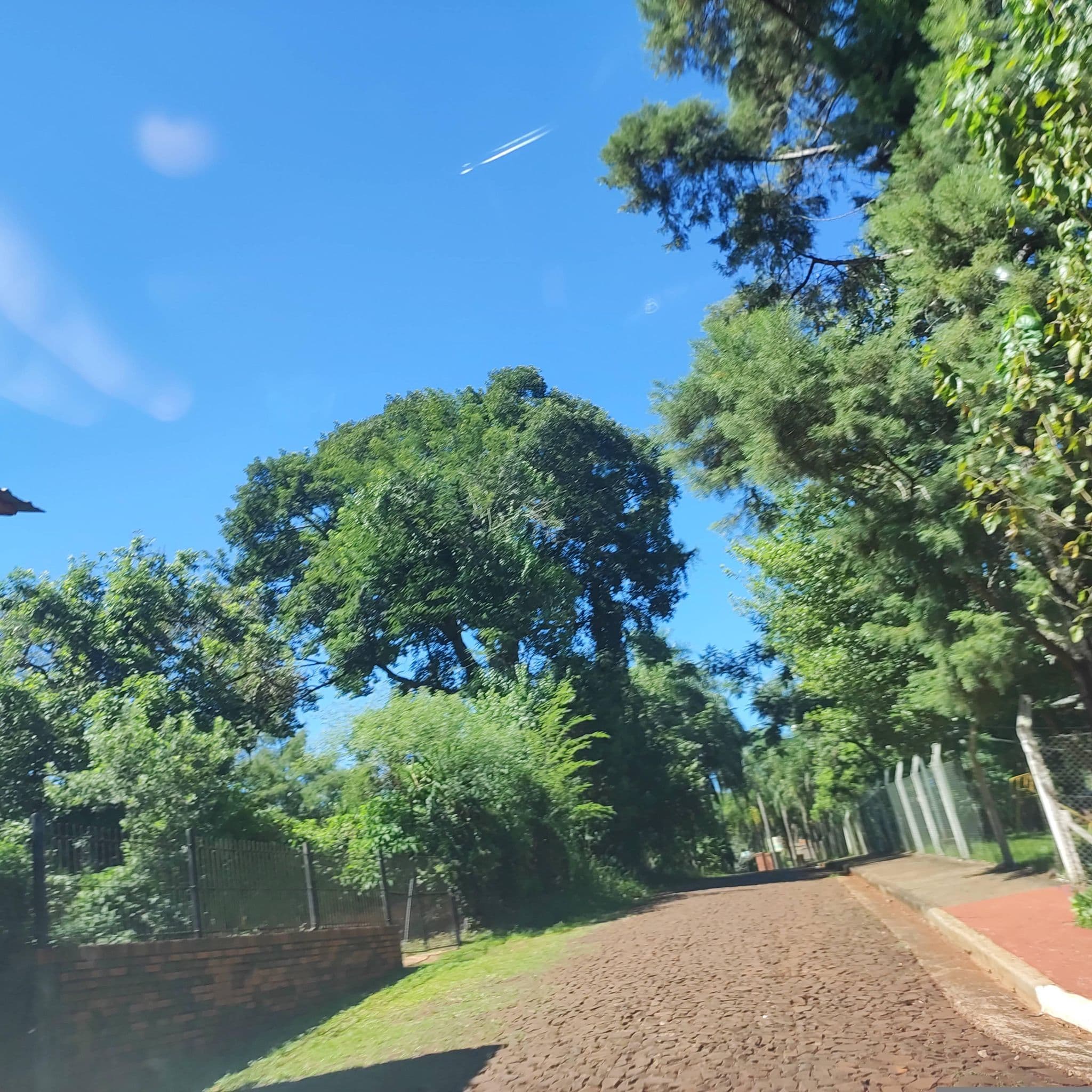 Street view near Camping Parque Natural Municipal Salto Capioví, Capioví — © diegokrein (CC BY-SA · Mapillary)