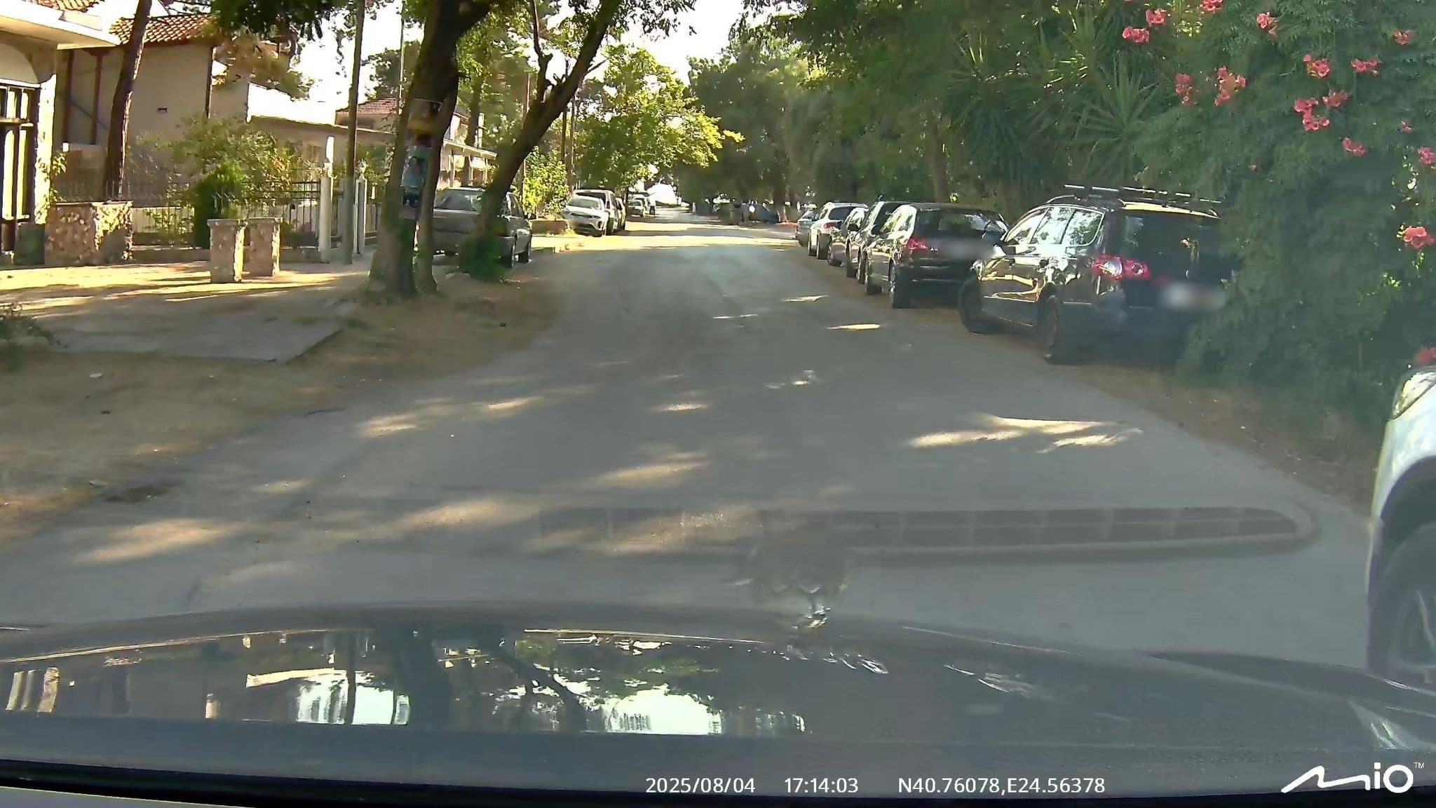 Street view near Ammos Villas - Thassos Waterfront, Prínos — © puky (CC BY-SA · Mapillary)