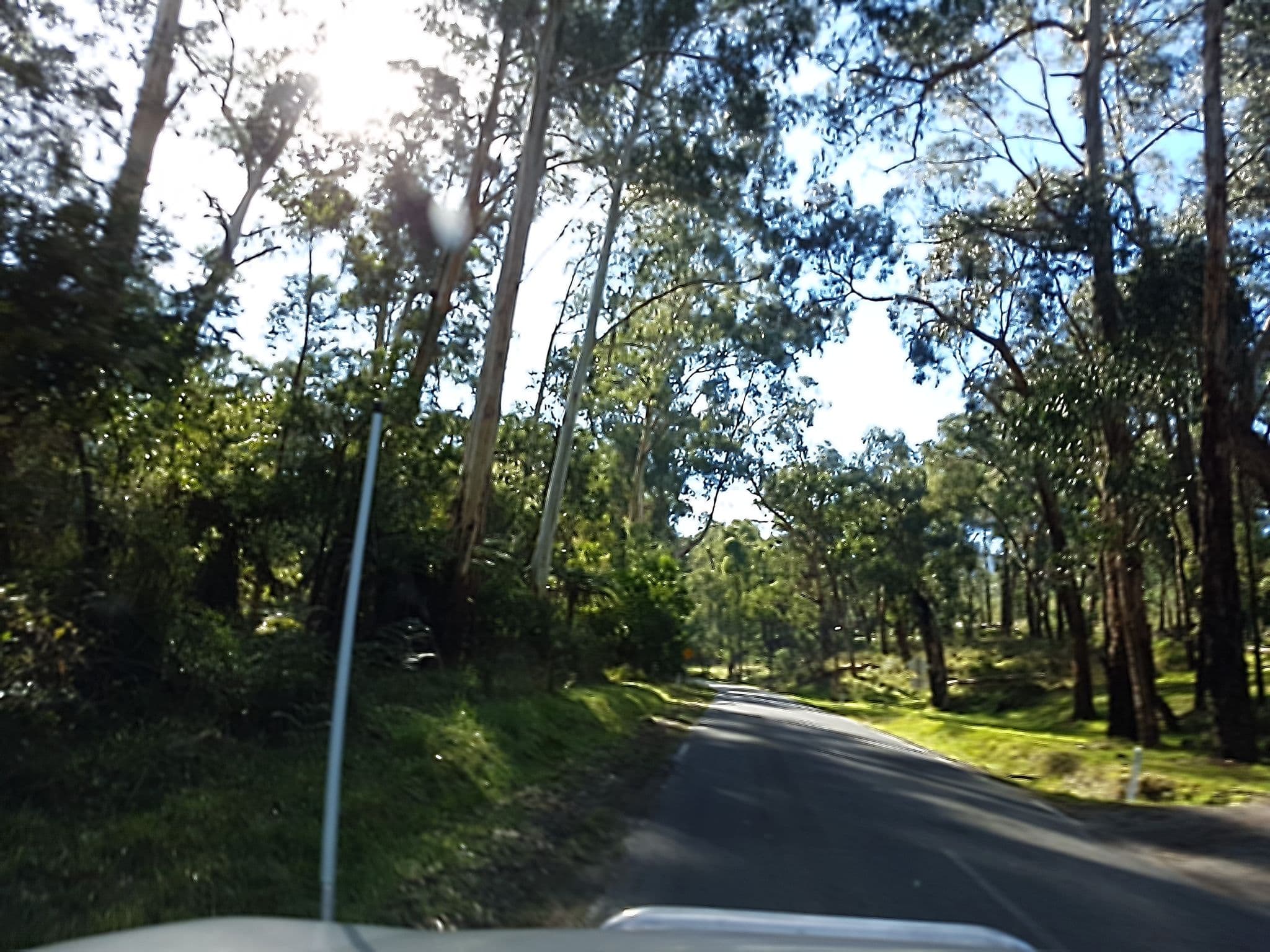 Street view near The Splendid Wren Bed and Breakfast, Healesville — © stev391 (CC BY-SA · Mapillary)