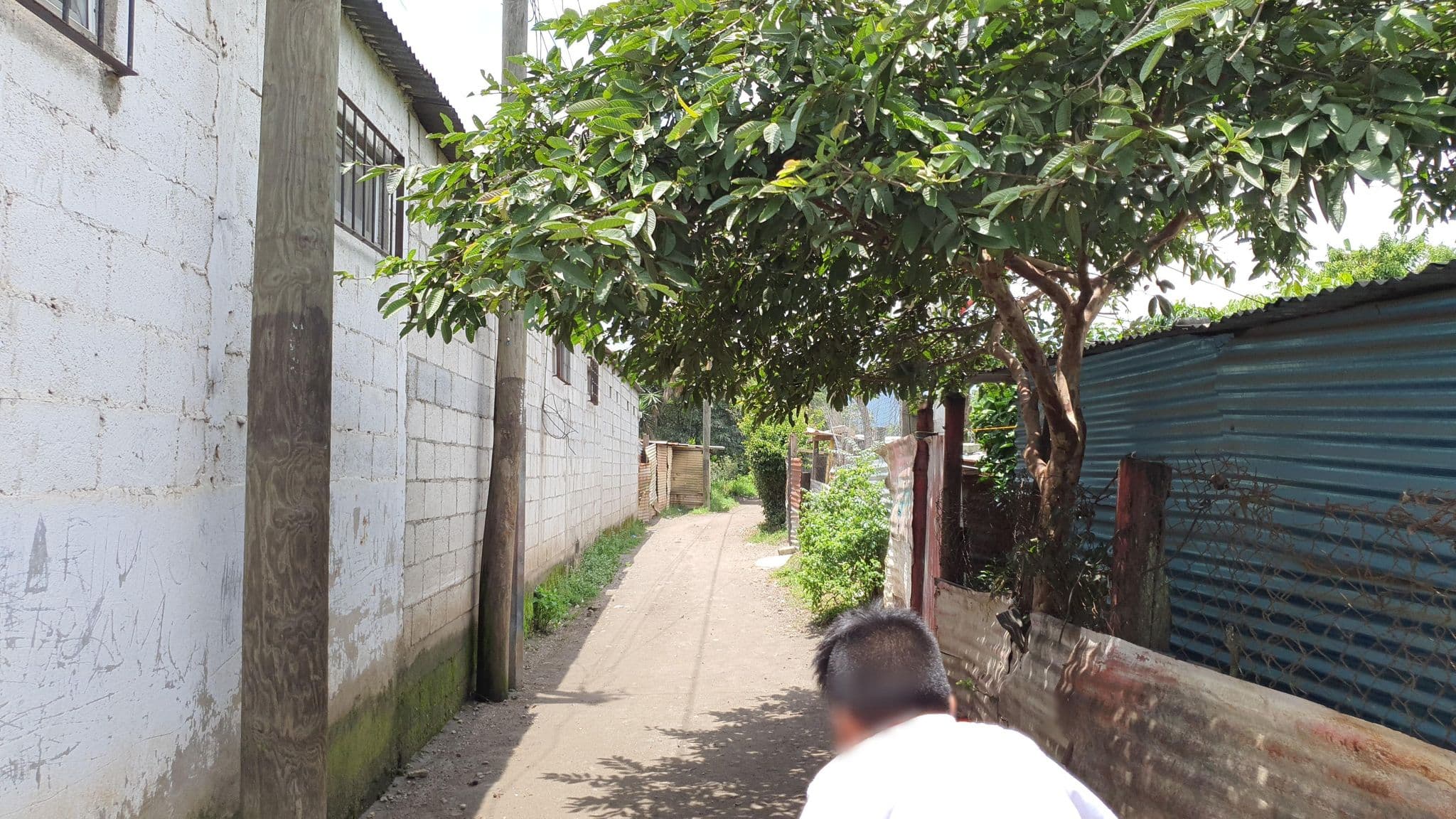 Street view near Finca moran cito, Villa Canales — © EdgarRamos (CC BY-SA · Mapillary)