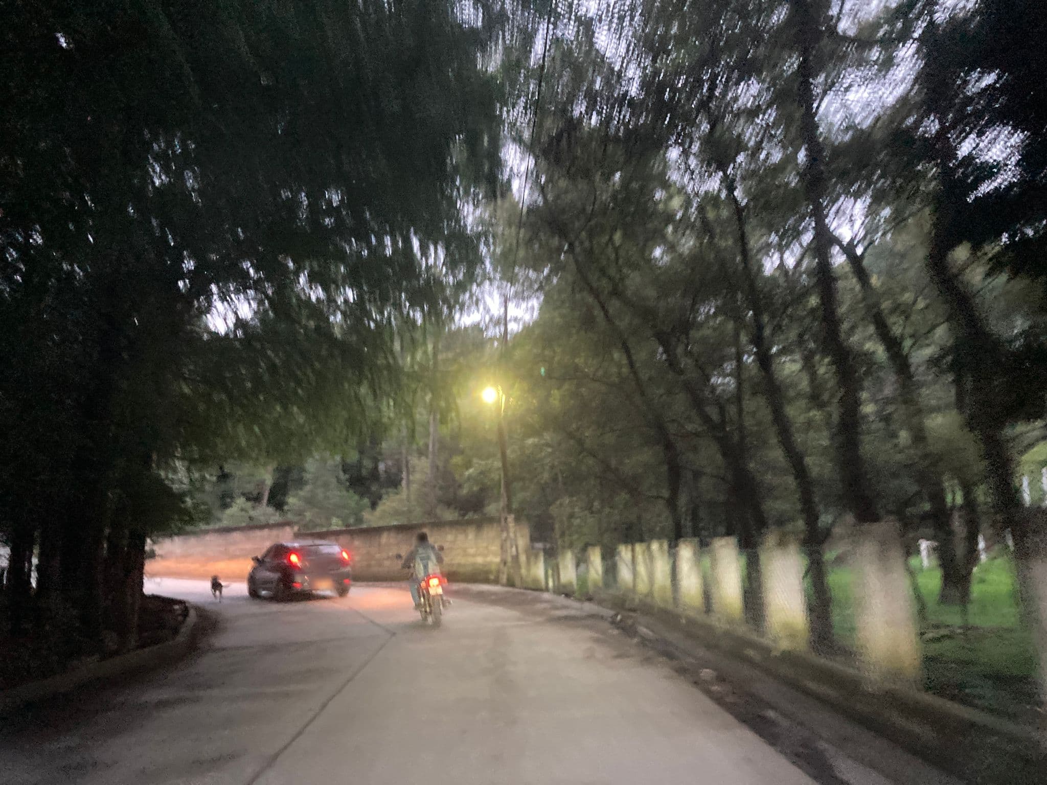 Street view near Monte Carmelo, Huehuetenango — © jaas (CC BY-SA · Mapillary)