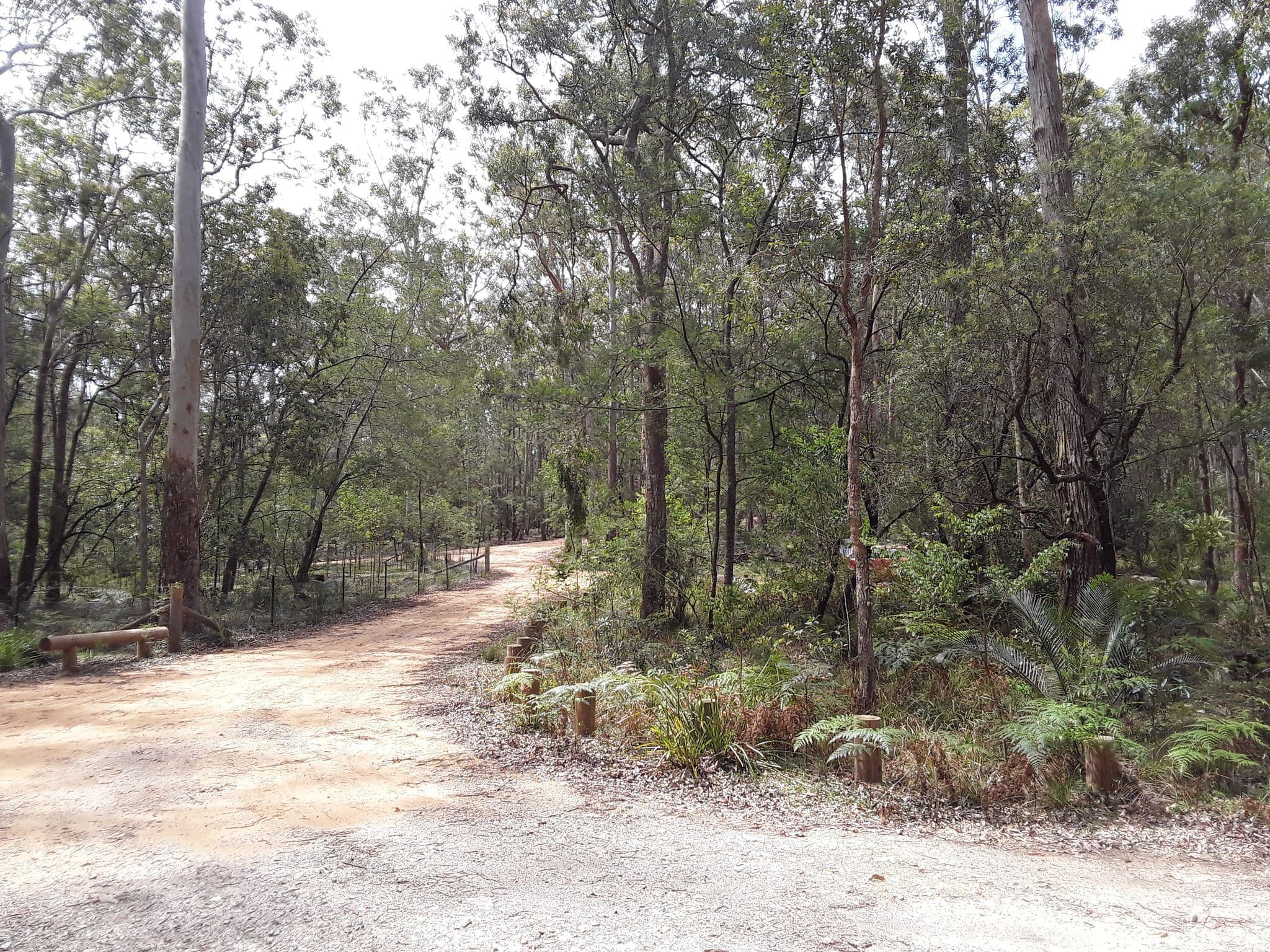 Street view near Blue Gum Flat Campground, Burrill Lake — © janvanbekkum (CC BY-SA · Mapillary)