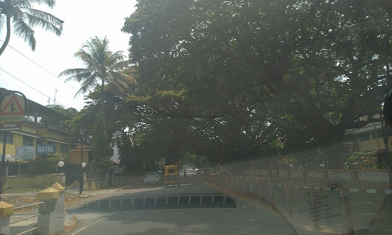Street view near Campal Beach Resort, Panjim — © edz3056 (CC BY-SA · Mapillary)