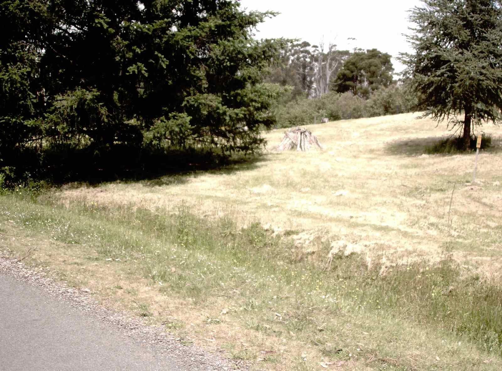 Street view near Pattison Rest Area, Churchill — © vicroads (CC BY-SA · Mapillary)