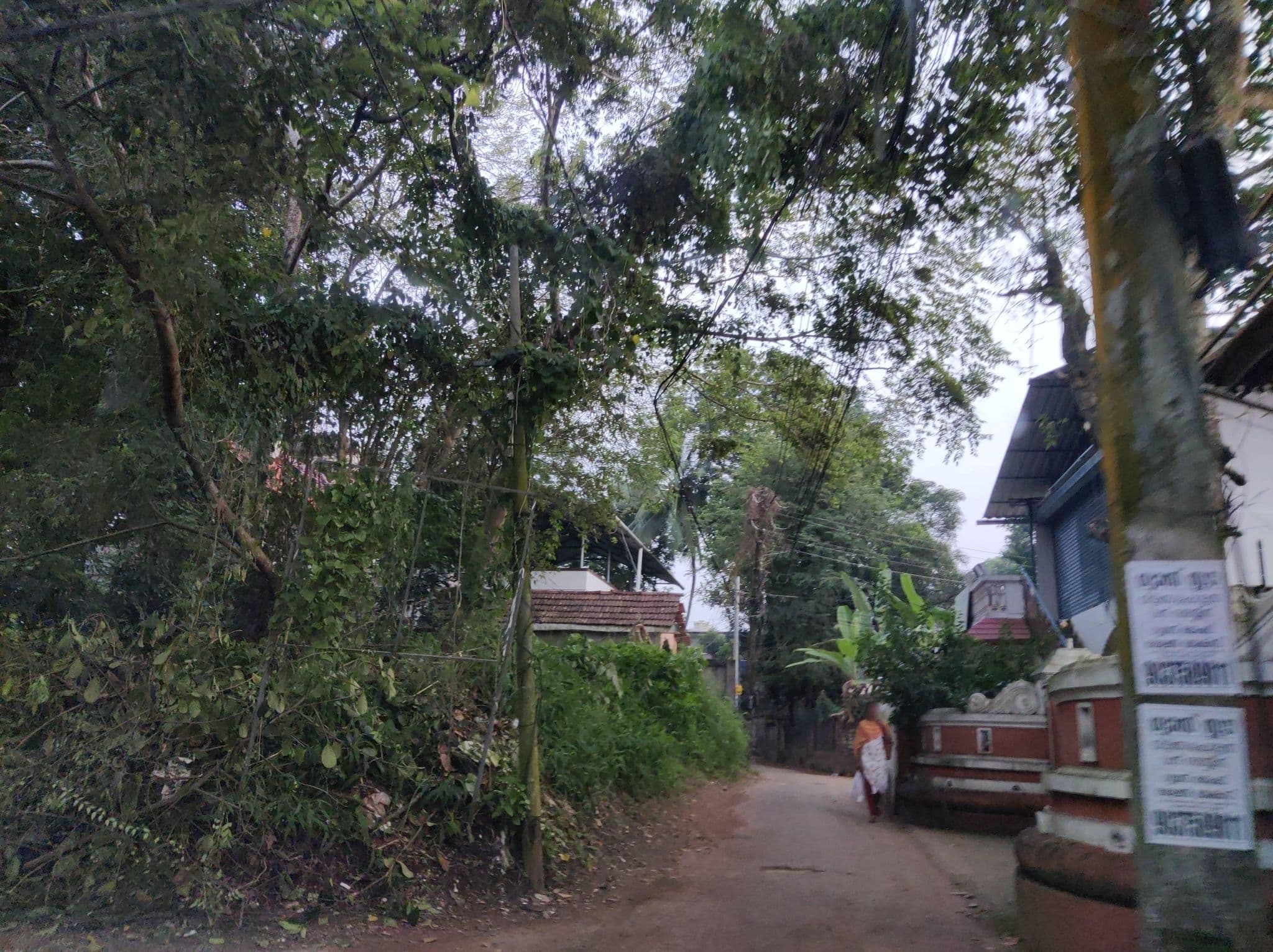 Street view near Sobhalayam Rental House, Kottayam — © Gannu03 (CC BY-SA · Mapillary)