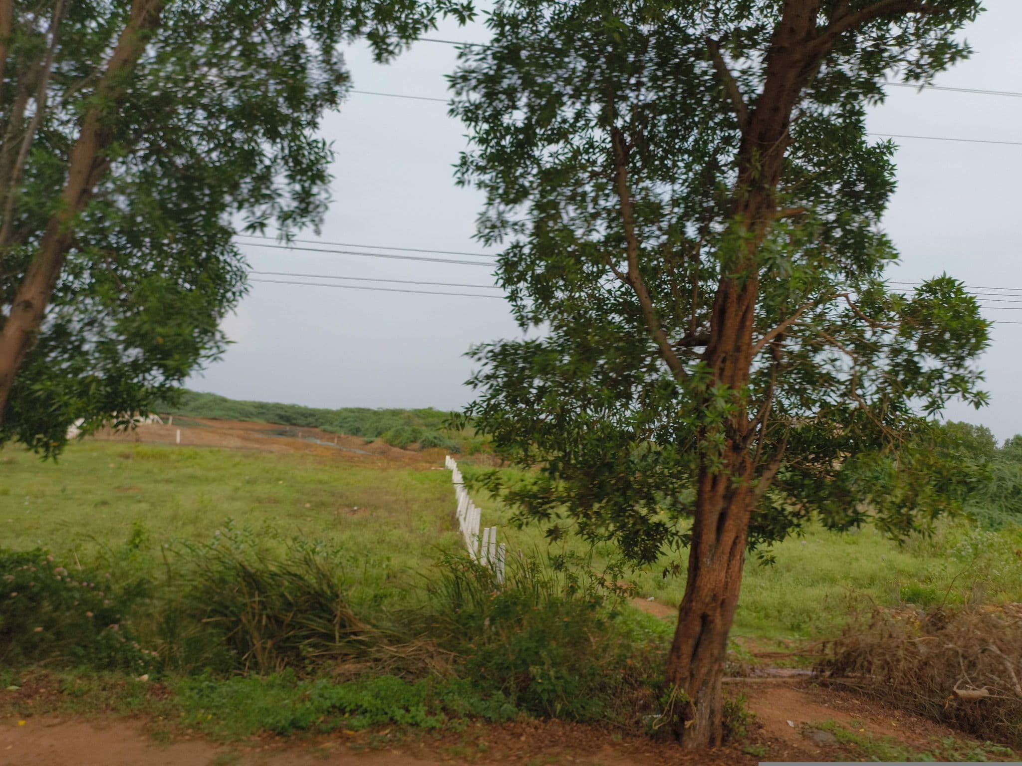 Street view near resort, Bhīmunipatnam — © ph4ni (CC BY-SA · Mapillary)