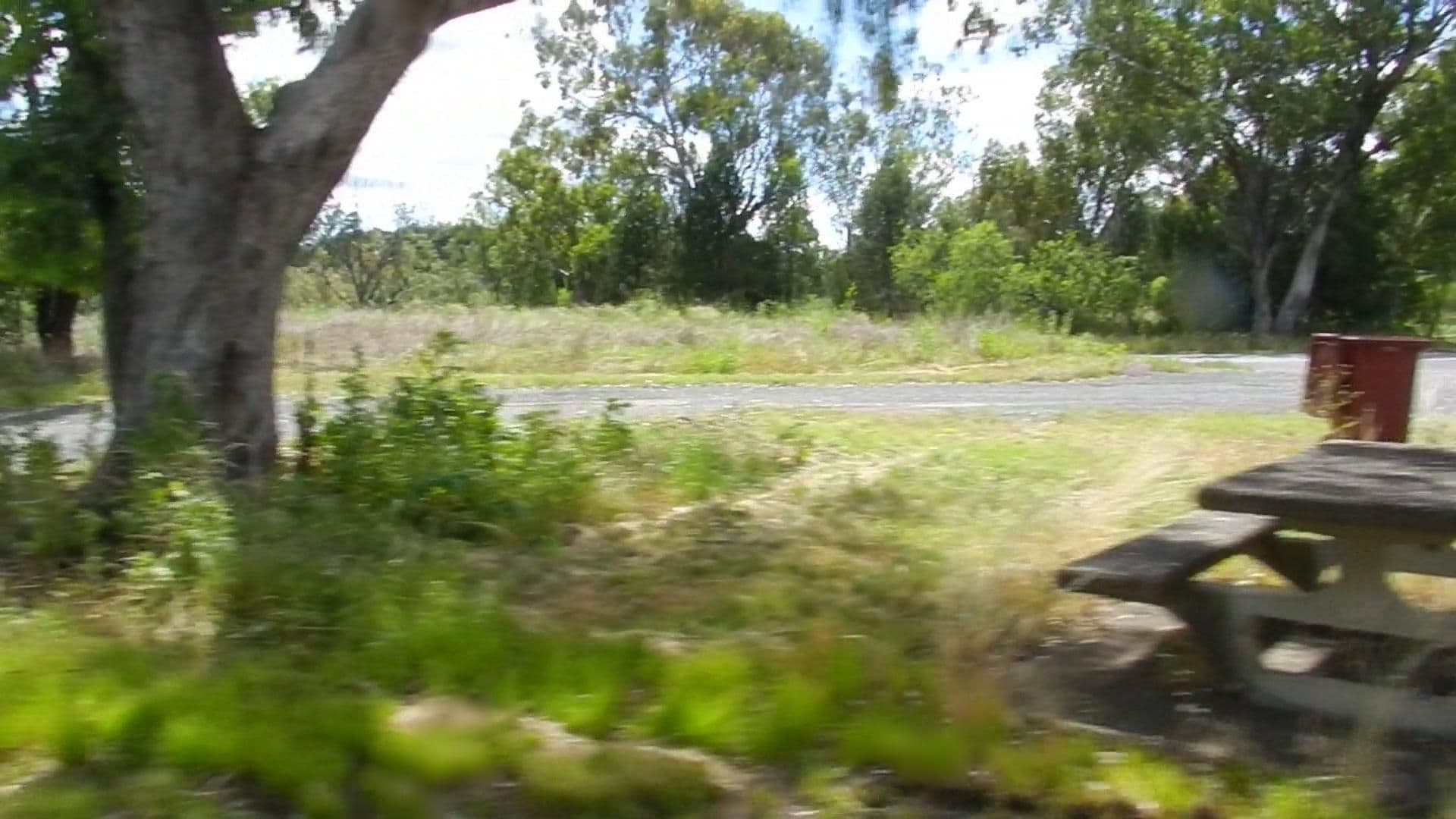 Street view near Ti Tree Creek Rest Area, Warialda — © bob3bob3 (CC BY-SA · Mapillary)
