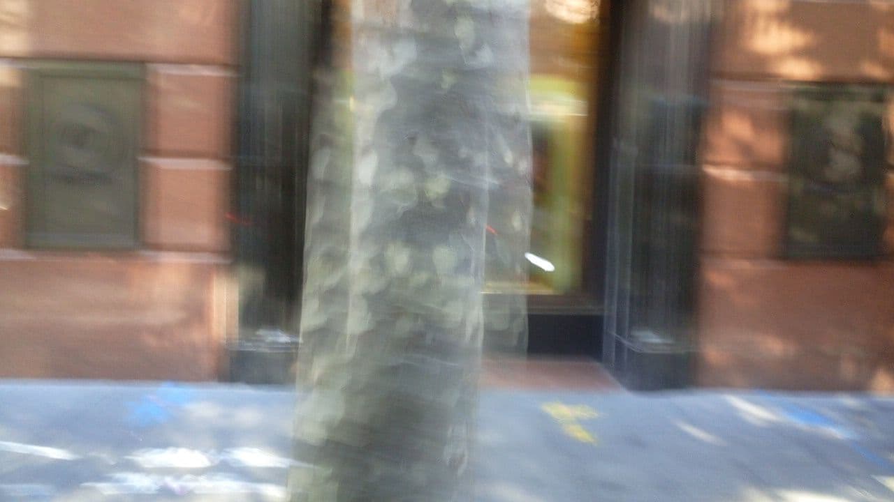 Street view near The Sebel Sydney Martin Place, Sydney — © orbac (CC BY-SA · Mapillary)