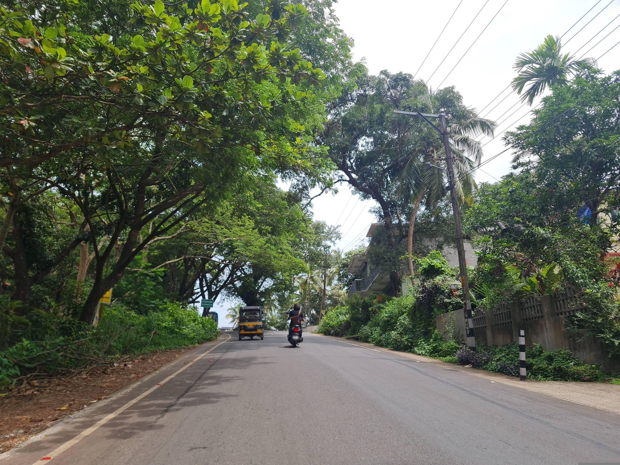 Street view near Govt Brennen College, Mens Hostel, Dharmadam — © dinshkm (CC BY-SA · Mapillary)