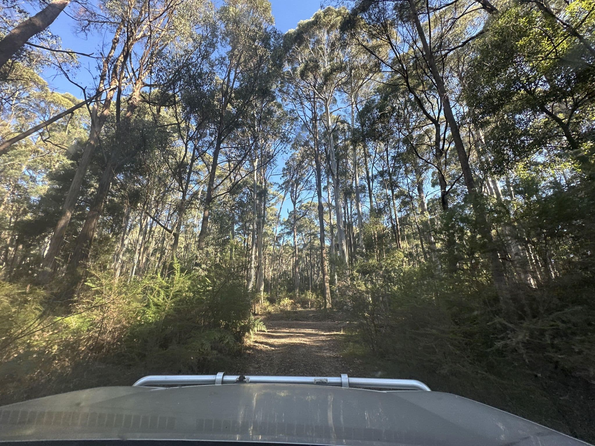 Street view near Spring Creek Sawmill, Benalla — © hakk (CC BY-SA · Mapillary)