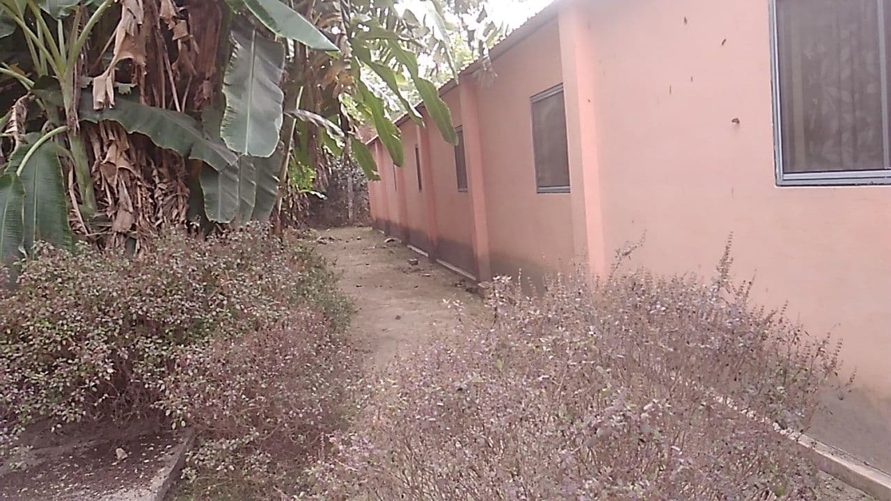 Street view near Nityananda Kutir, Navadwīp — © gurudayal (CC BY-SA · Mapillary)
