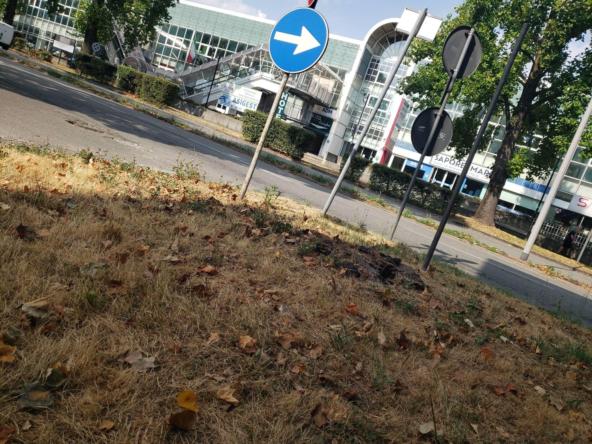 Street view near Hotel Europa, Biella — © mapfool (CC BY-SA · Mapillary)