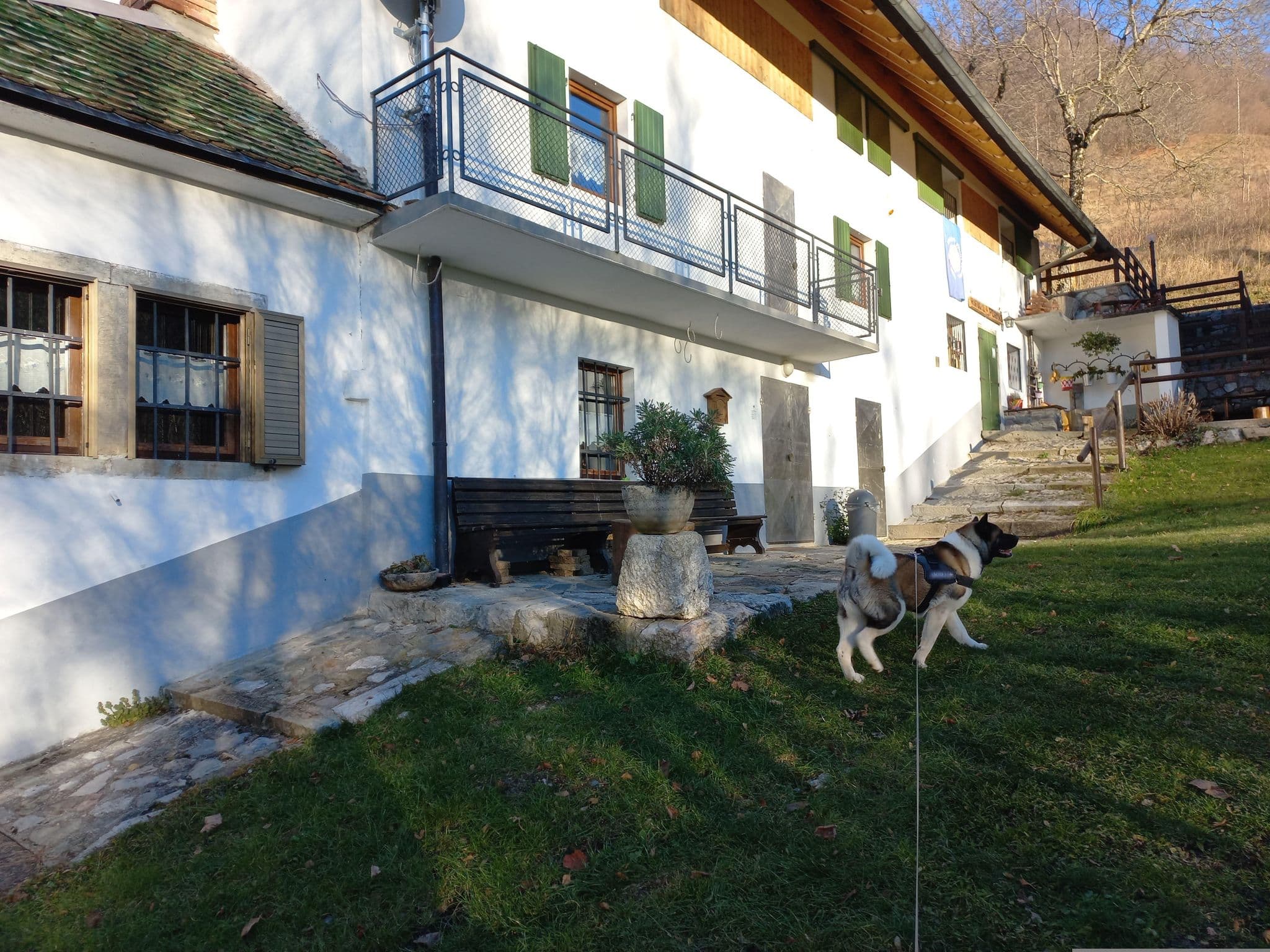 Street view near Rifugio Fornas, Arta Terme — © picci65 (CC BY-SA · Mapillary)