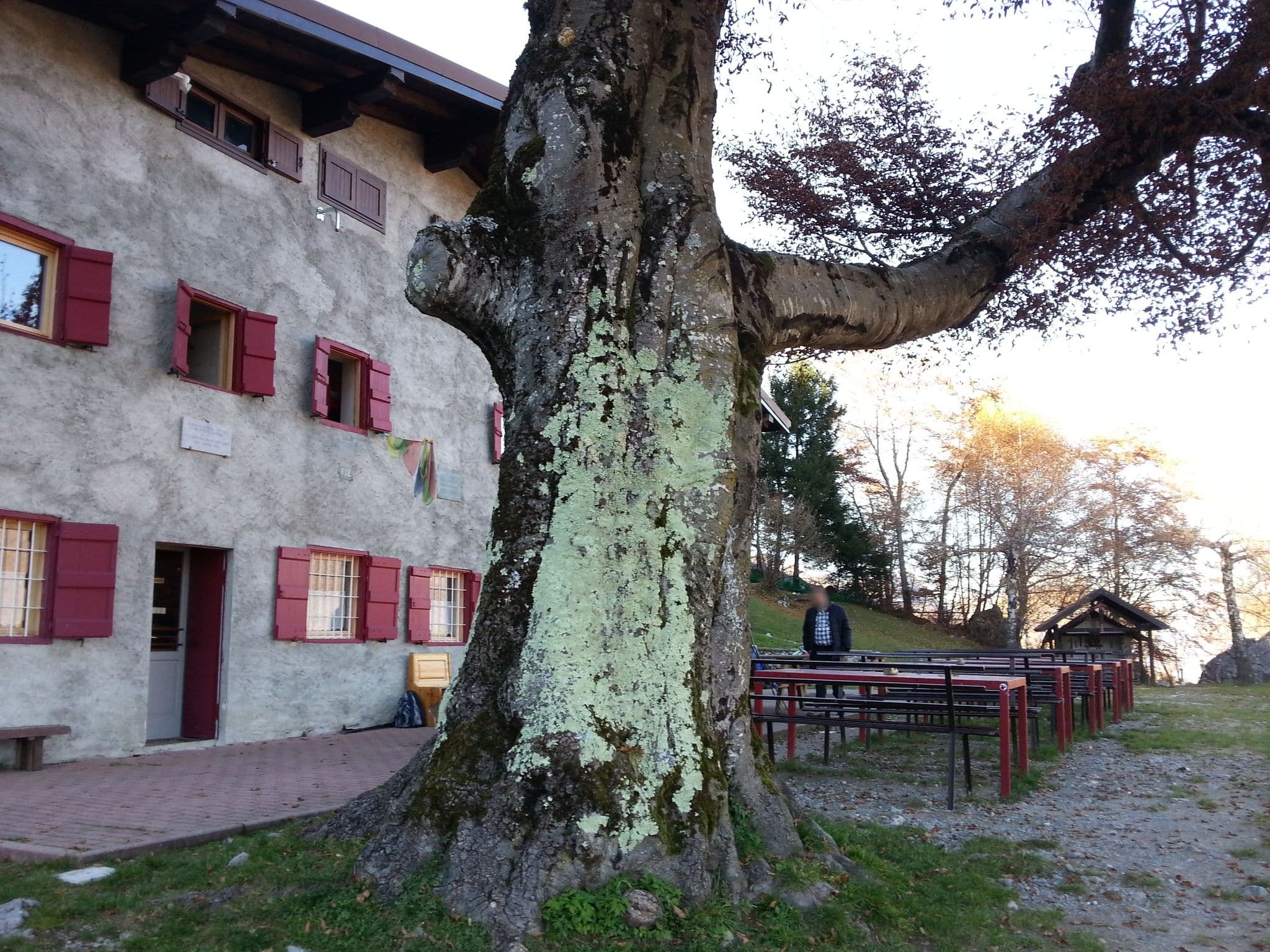 Street view near Rifugio Riva, Primaluna — © kaitu (CC BY-SA · Mapillary)