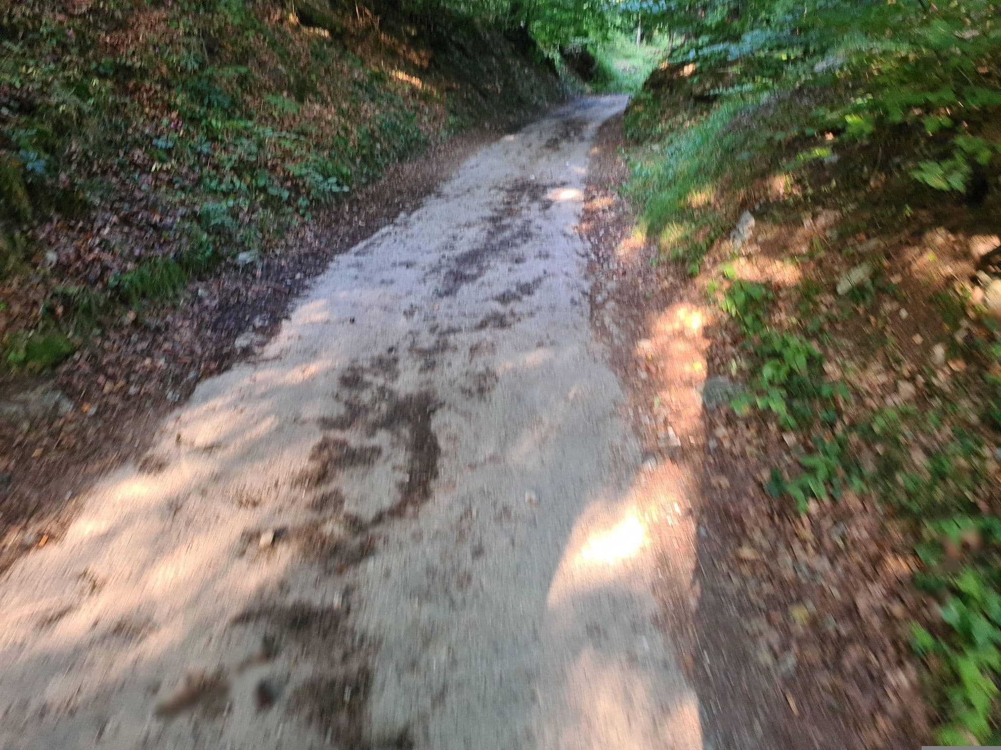 Street view near Casa per Vacanze Marco Nodari, Borno — © dvdb76 (CC BY-SA · Mapillary)