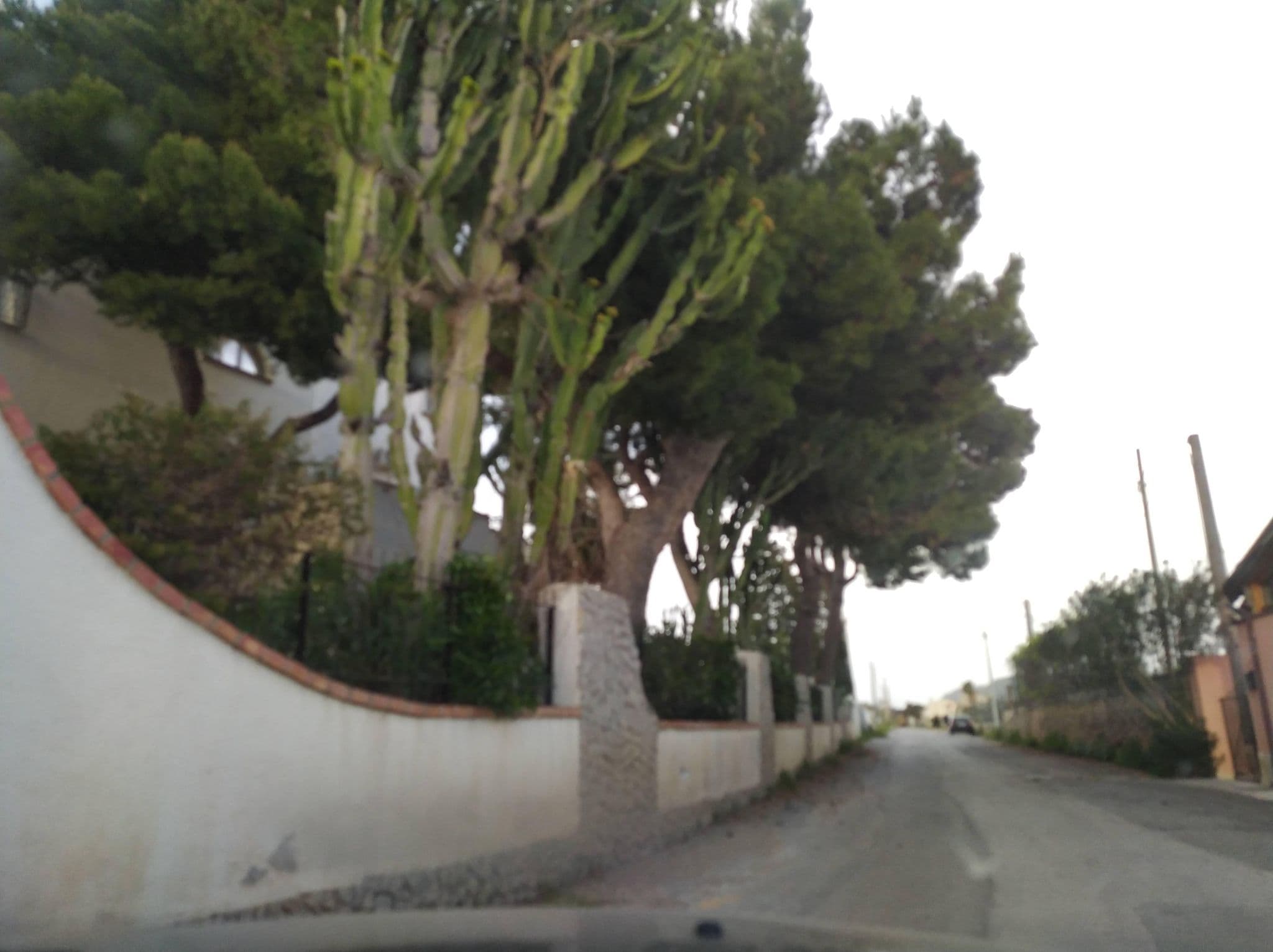 Street view near Hotel La Playa, Patti — © mcosm (CC BY-SA · Mapillary)