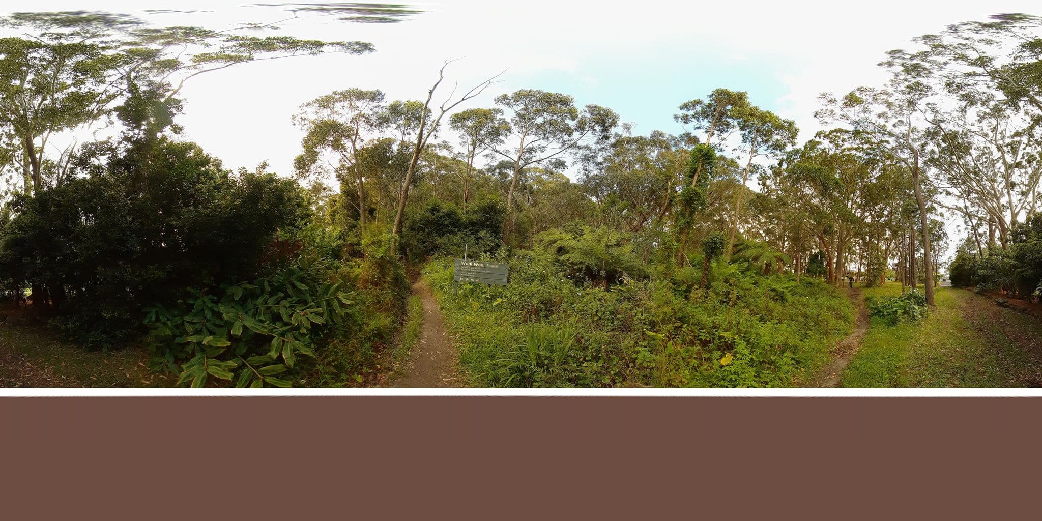 Street view near Tumbling Waters Retreat, Stanwell Park โ ยฉ Echidna (CC BY-SA ยท Mapillary)