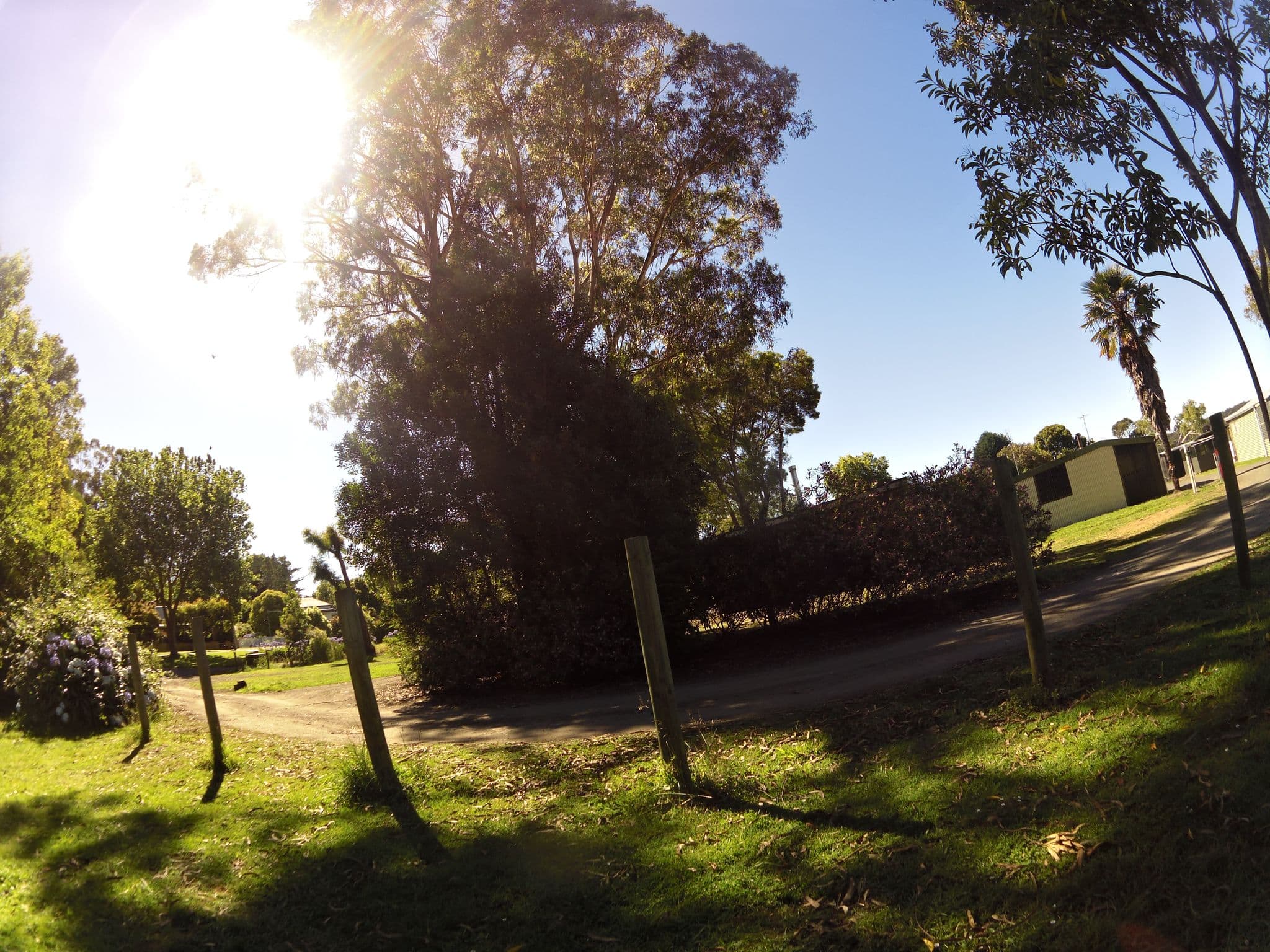 Street view near Forrest Caravan Park, Elliminyt — © skillsy (CC BY-SA · Mapillary)