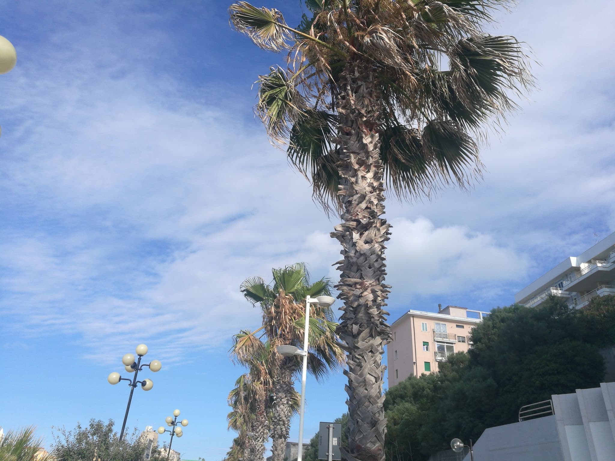 Street view near Hotel Mistral, Termoli — © doduva2 (CC BY-SA · Mapillary)