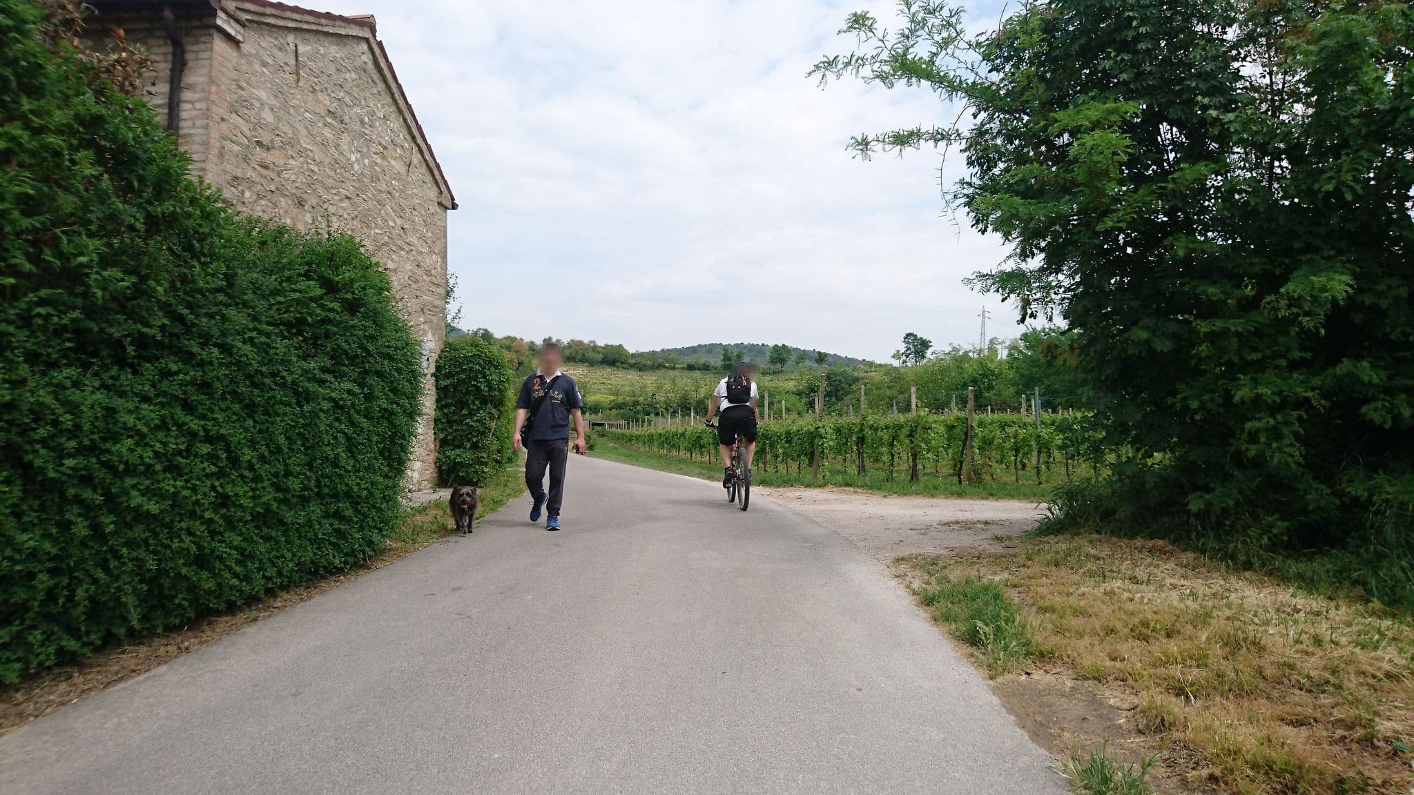 Street view near Chez Vivì, Monselice — © voschix (CC BY-SA · Mapillary)
