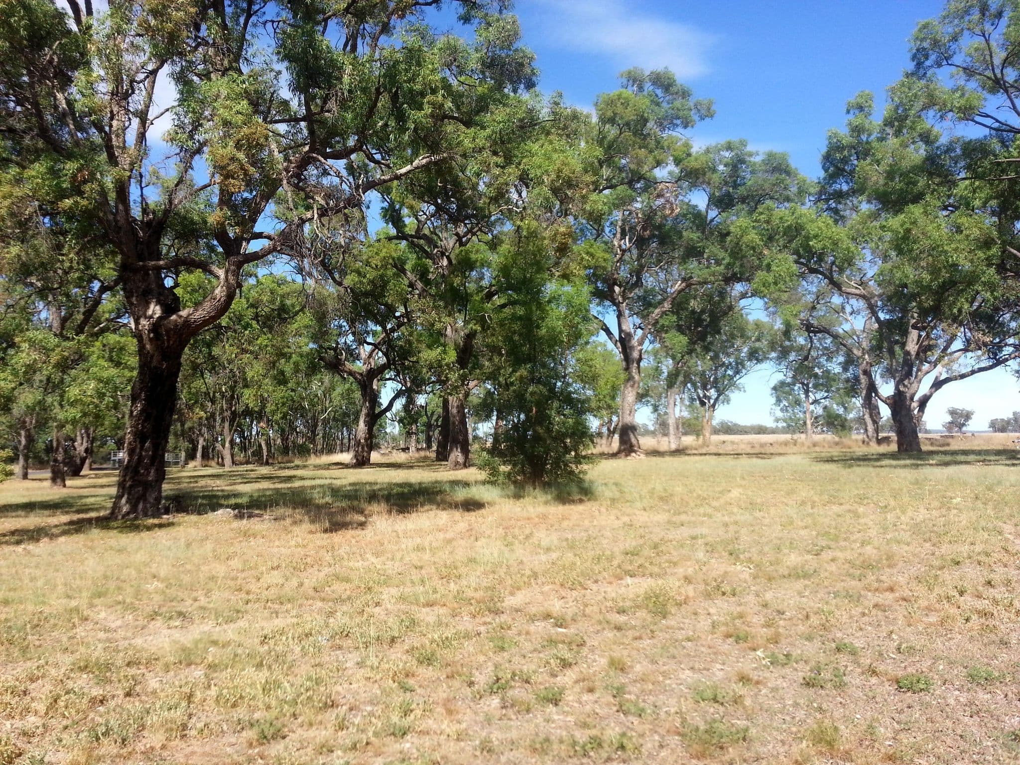 Street view near Severn River Rest Area, Inverell — © bob3bob3 (CC BY-SA · Mapillary)