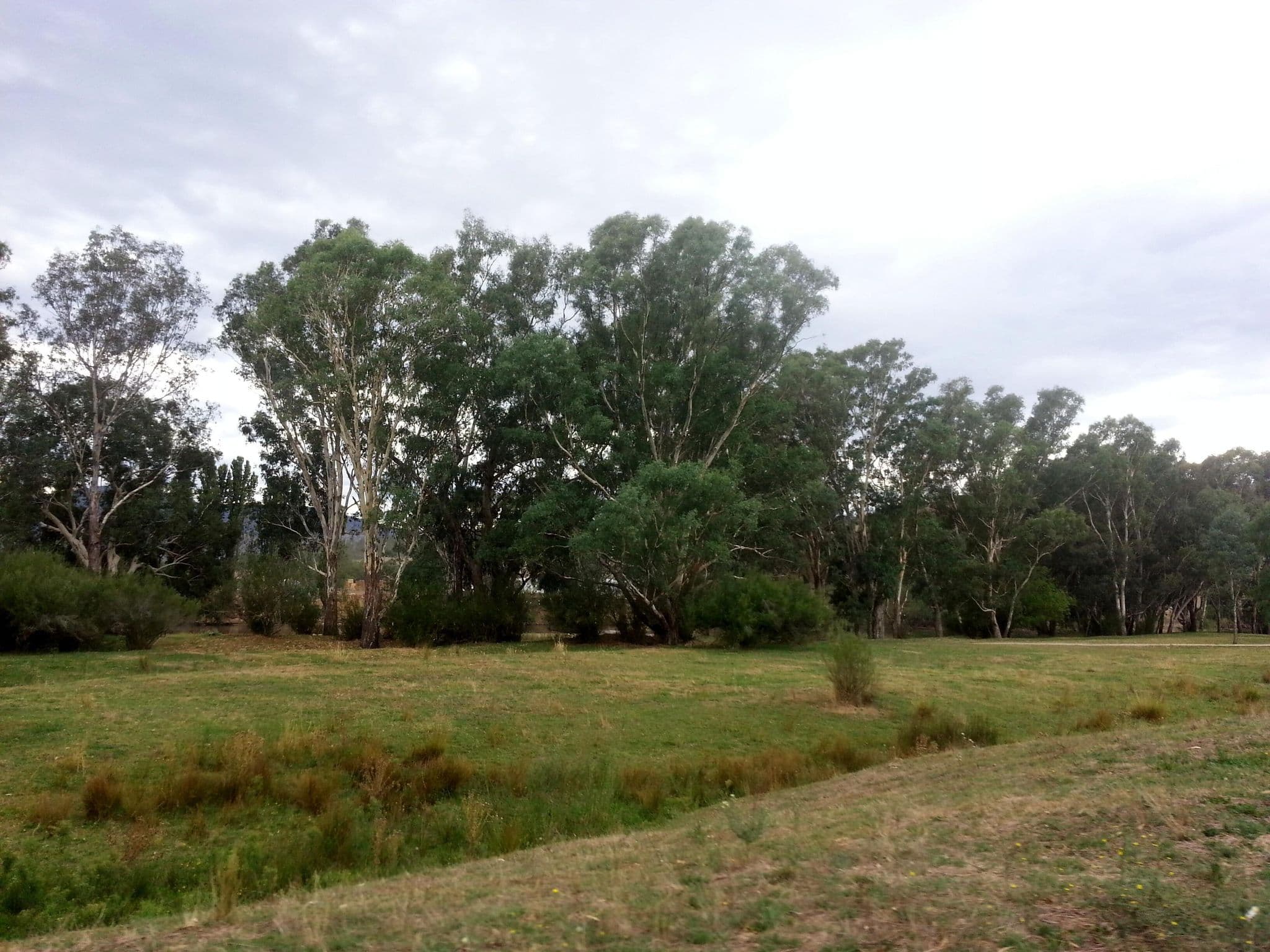 Street view near Burrowye Bend - Murray River Reserve, Holbrook — © bob3bob3 (CC BY-SA · Mapillary)