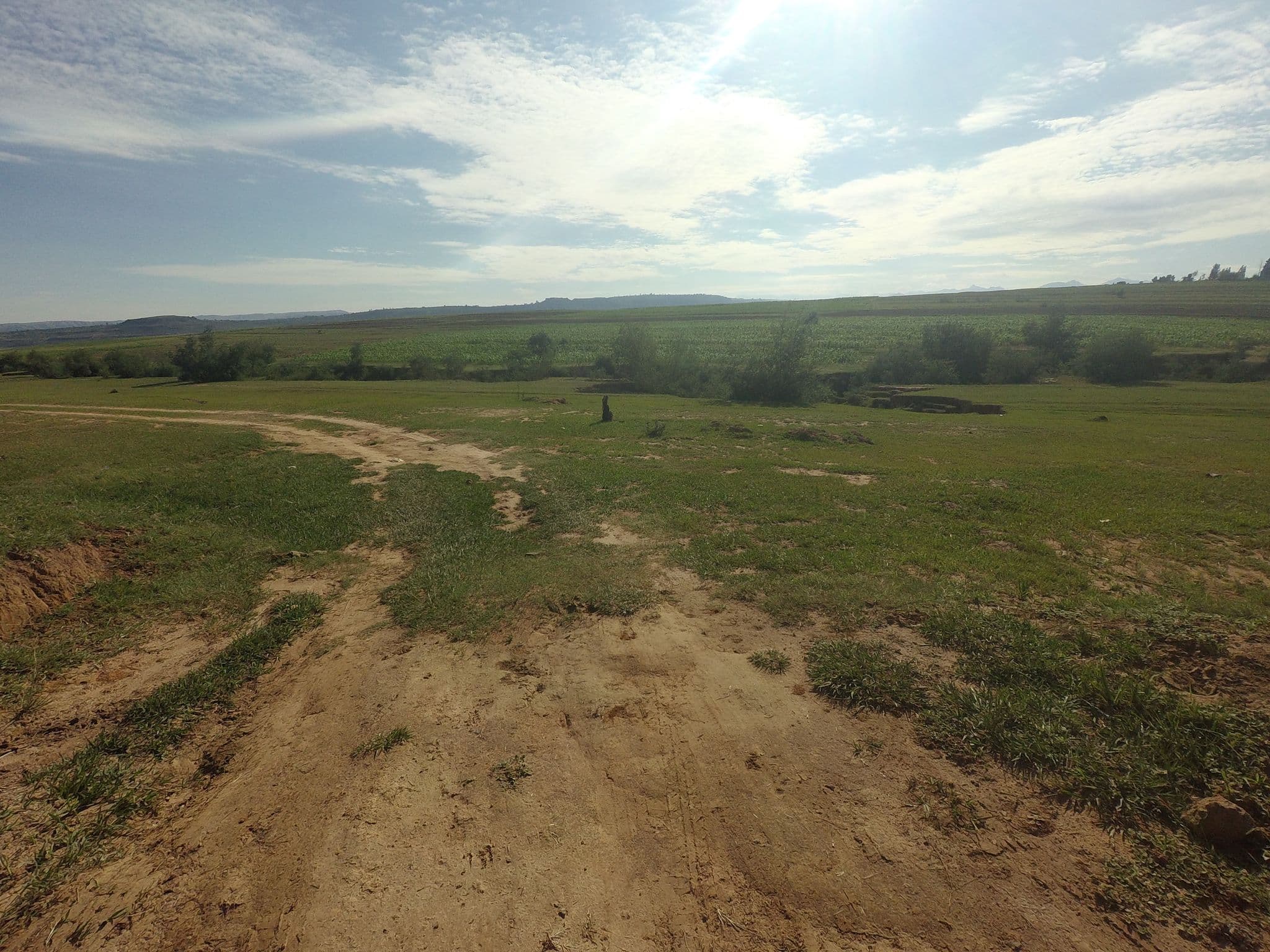 Street view near Mzwandile Thokoane, Teyateyaneng — © nuts2001 (CC BY-SA · Mapillary)