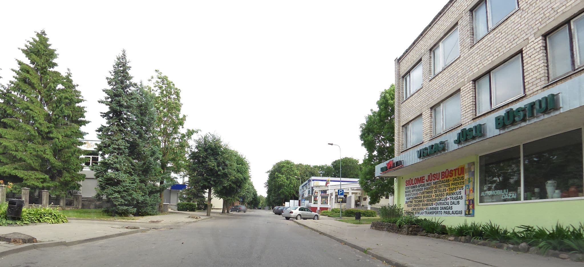 Street view near Pas Rimą, Pasvalys — © aurimas (CC BY-SA · Mapillary)
