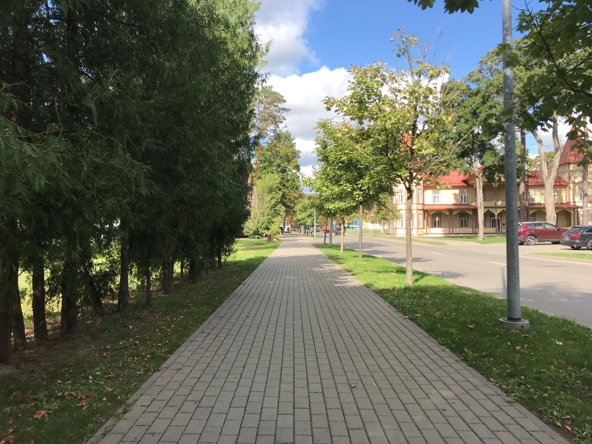 Street view near Regina, Druskininkai — © miguel_andrade (CC BY-SA · Mapillary)