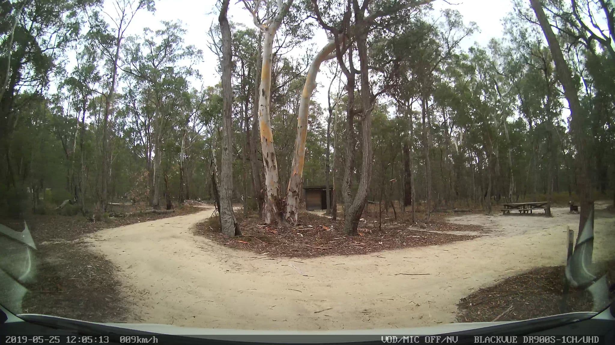 Street view near Blatherarm Camping Area 3, Tenterfield — © bob3bob3 (CC BY-SA · Mapillary)