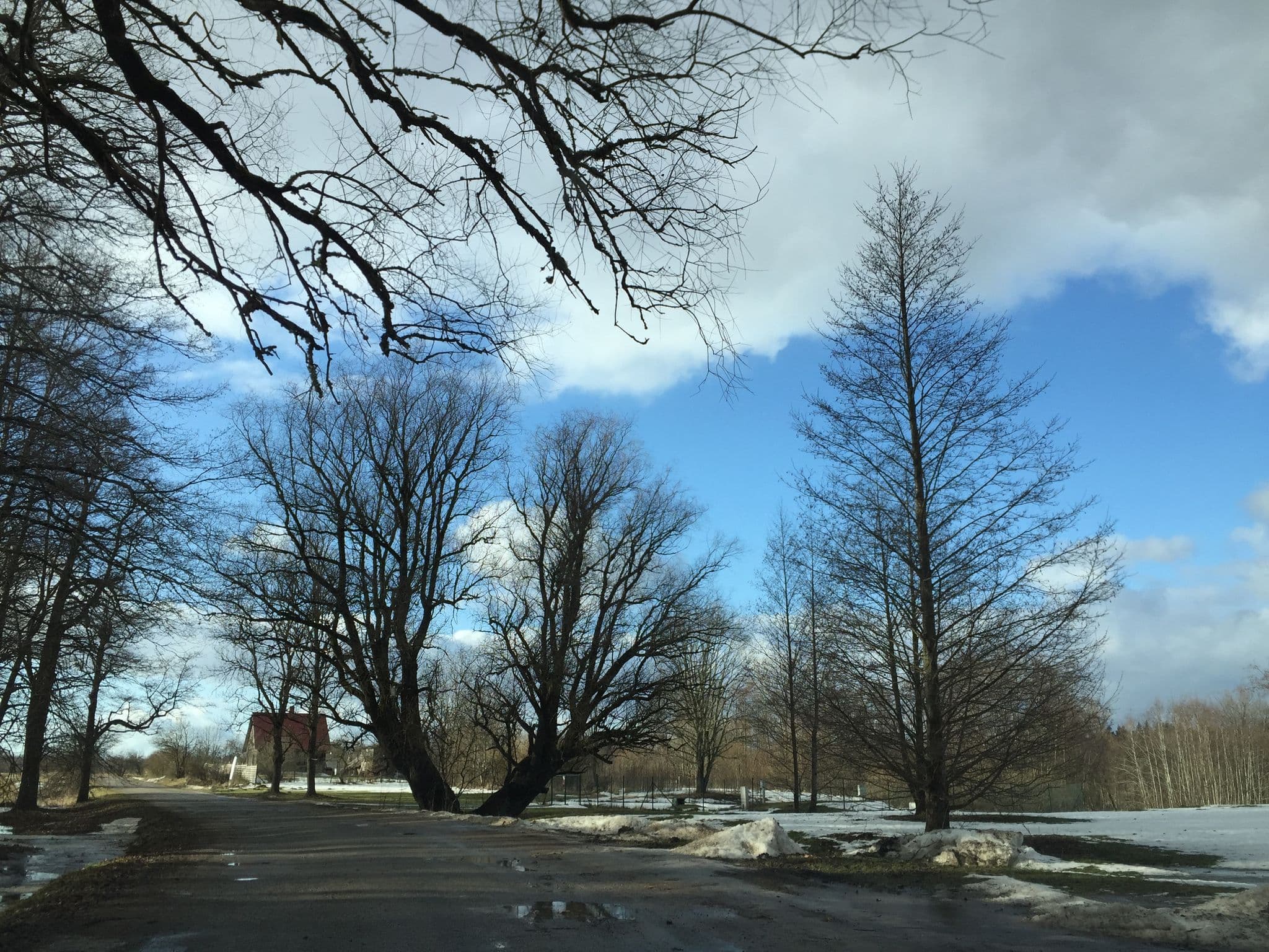 Street view near Province, Aloja — © richlv (CC BY-SA · Mapillary)