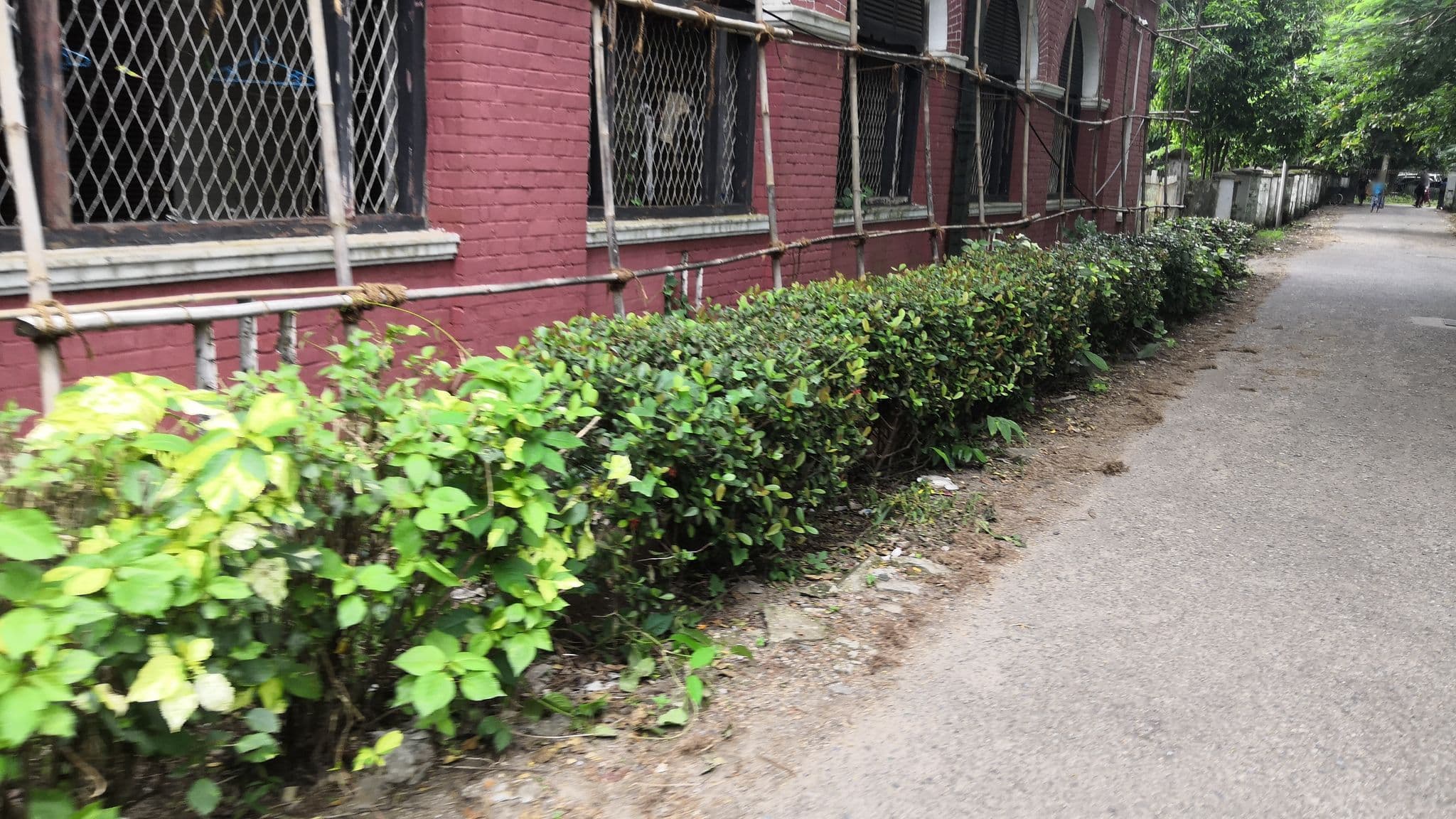 Street view near Dagon Hostel, Hledan — © htetnaing1004 (CC BY-SA · Mapillary)