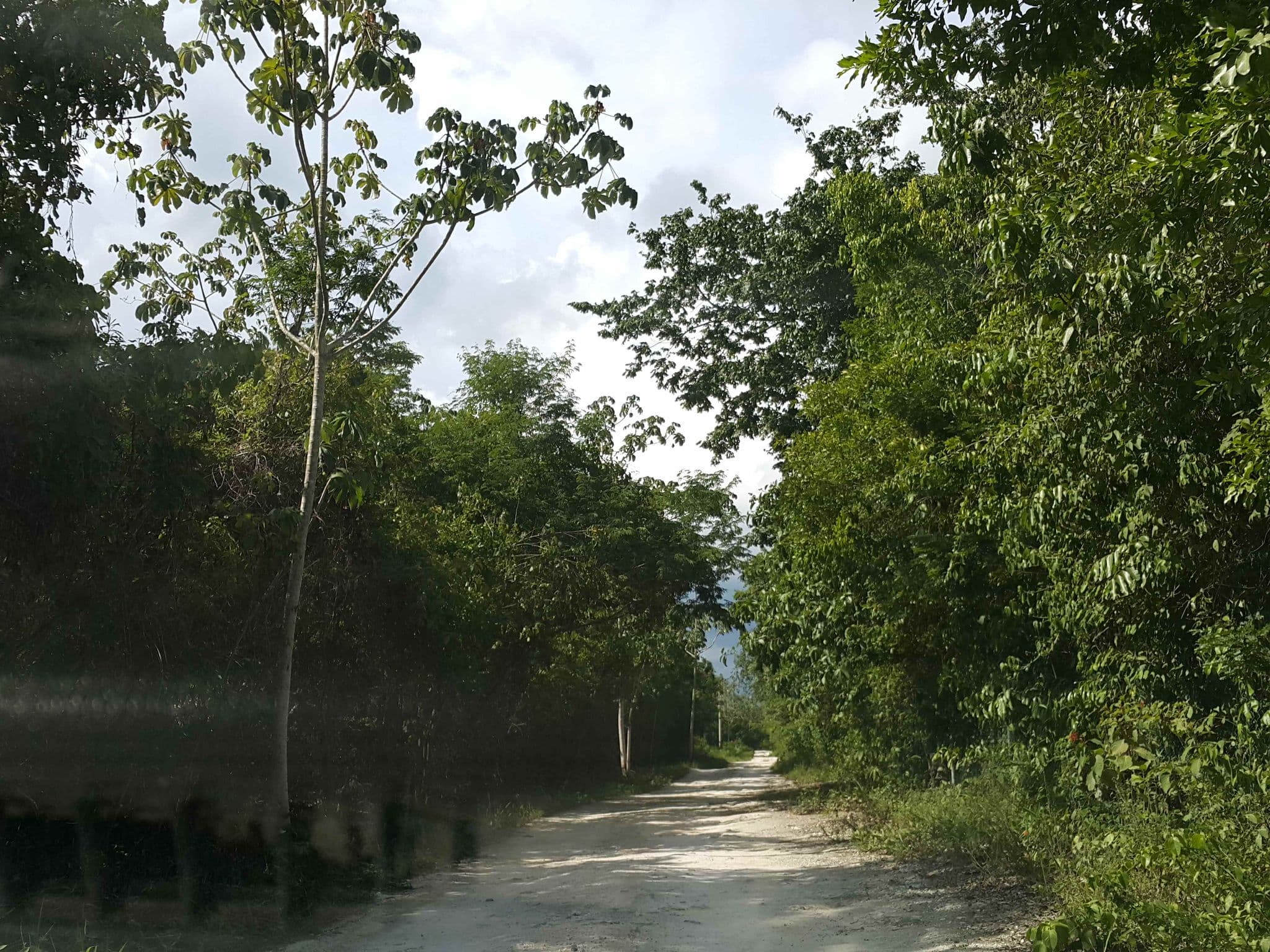 Street view near Sakol K'aax, Leona Vicario — © mapanauta (CC BY-SA · Mapillary)
