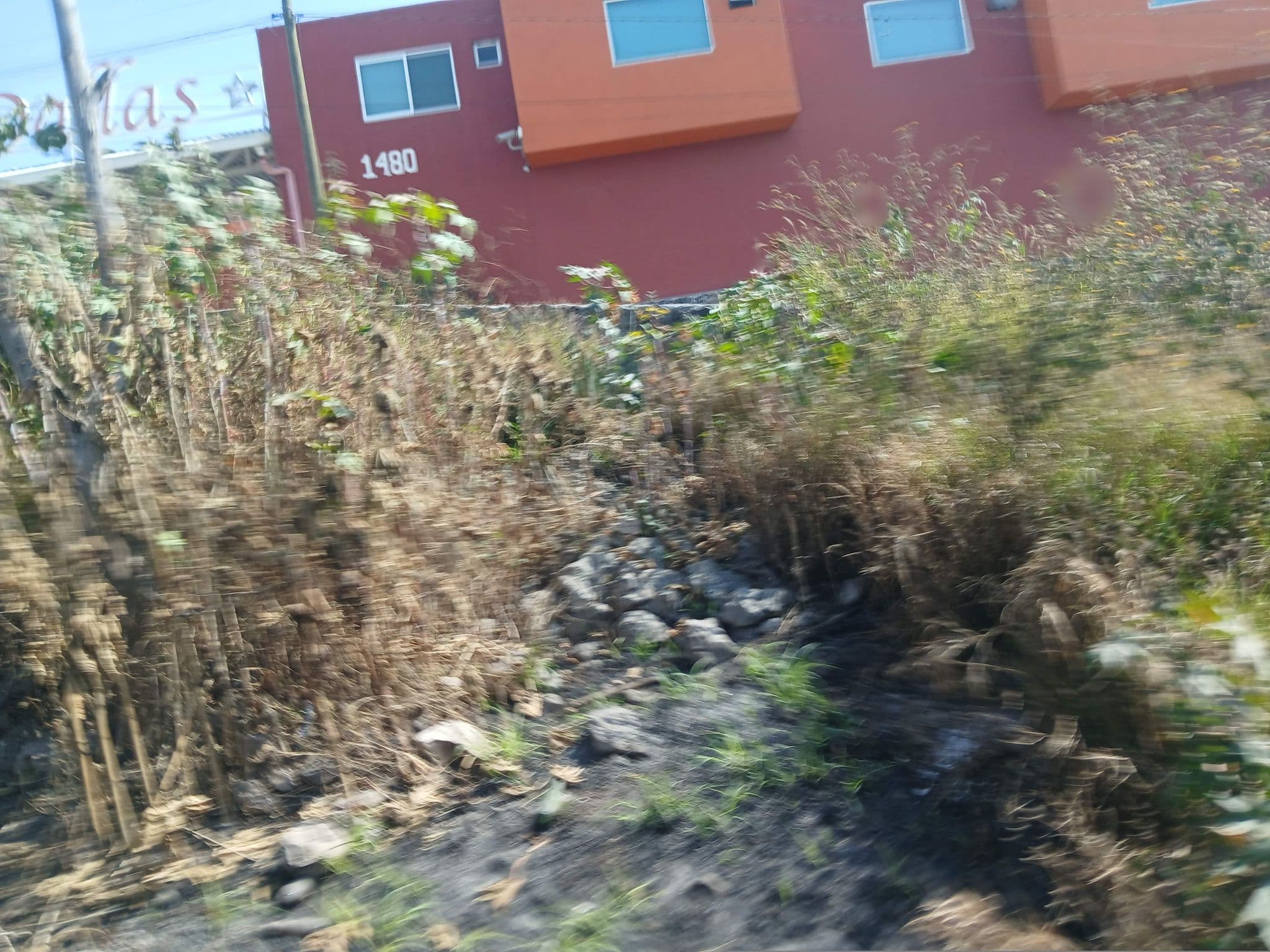 Street view near Dallas, San José el Alto — © VaneAnarqitty (CC BY-SA · Mapillary)
