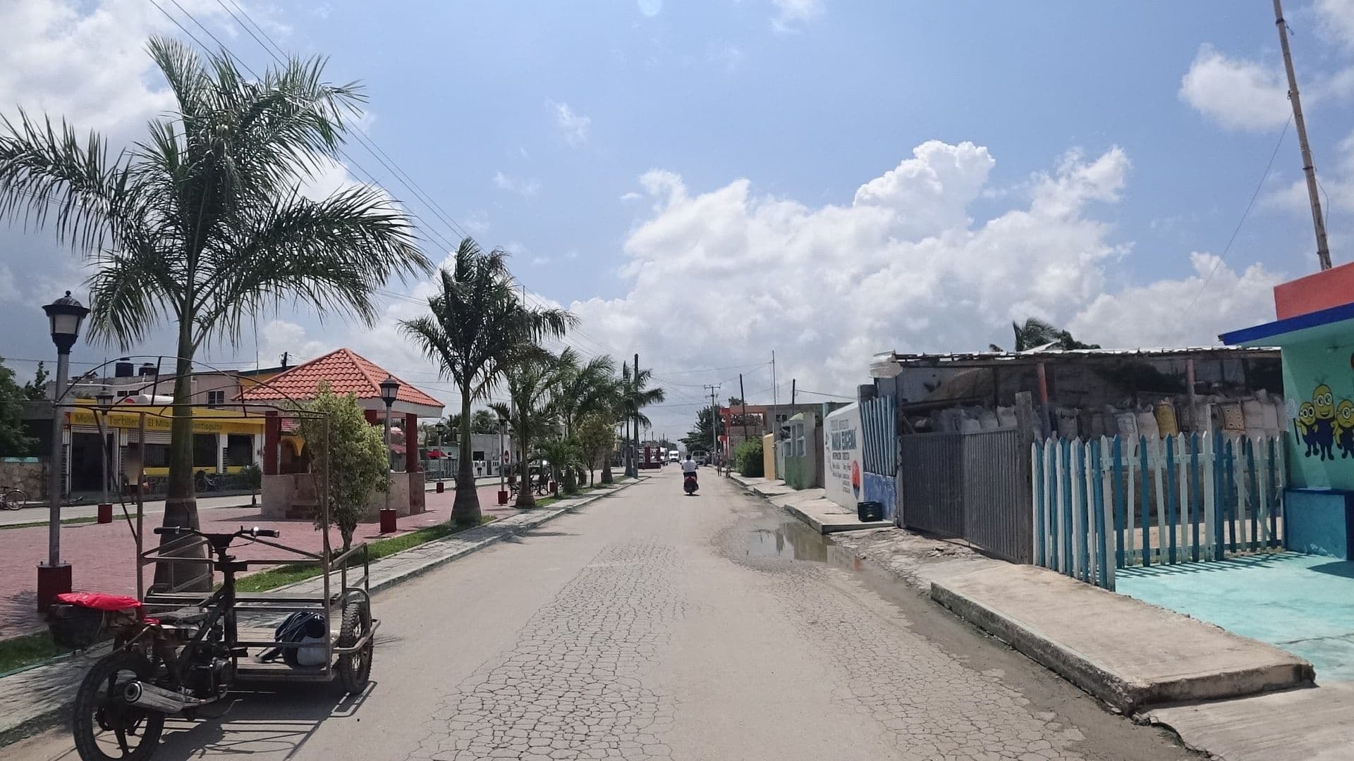Street view near Maria Eugenia, Río Lagartos — © z0rg (CC BY-SA · Mapillary)
