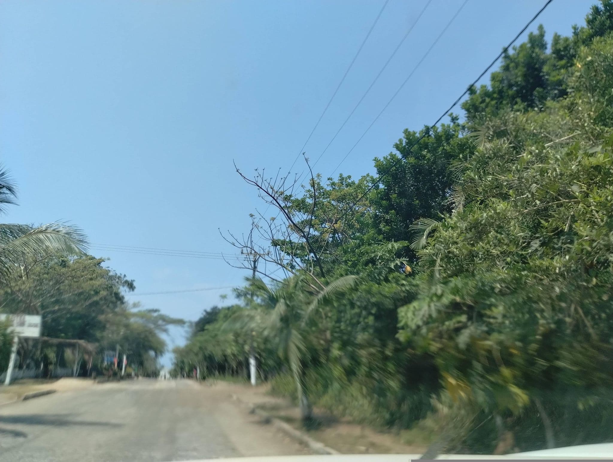Street view near Selene, Sontecomapan — © cu_CARTOGRAFIA (CC BY-SA · Mapillary)