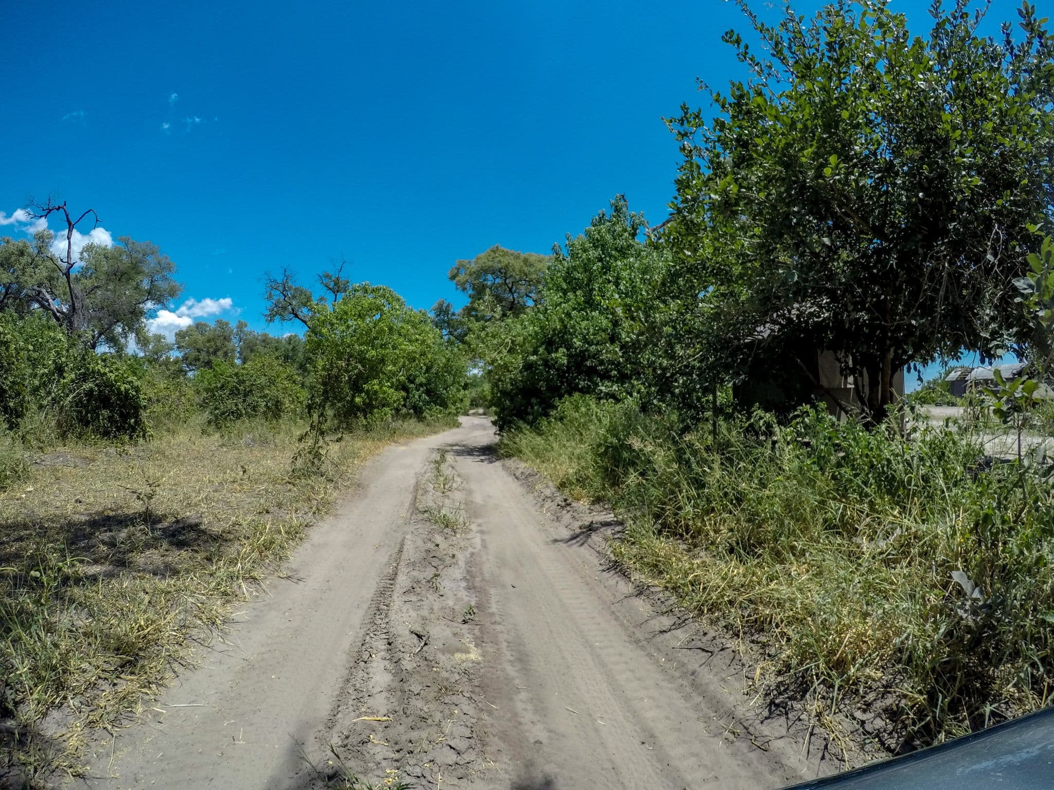 Street view near Camp Linyanti (SKL), Linyanti — © elphix (CC BY-SA · Mapillary)
