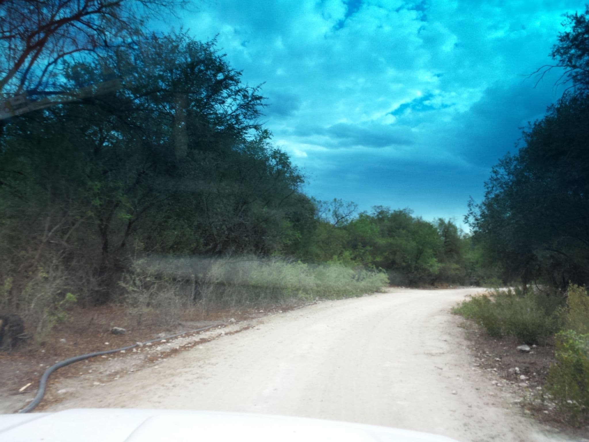 Street view near Bush Baby Lodge, Grootfontein — © staehler (CC BY-SA · Mapillary)