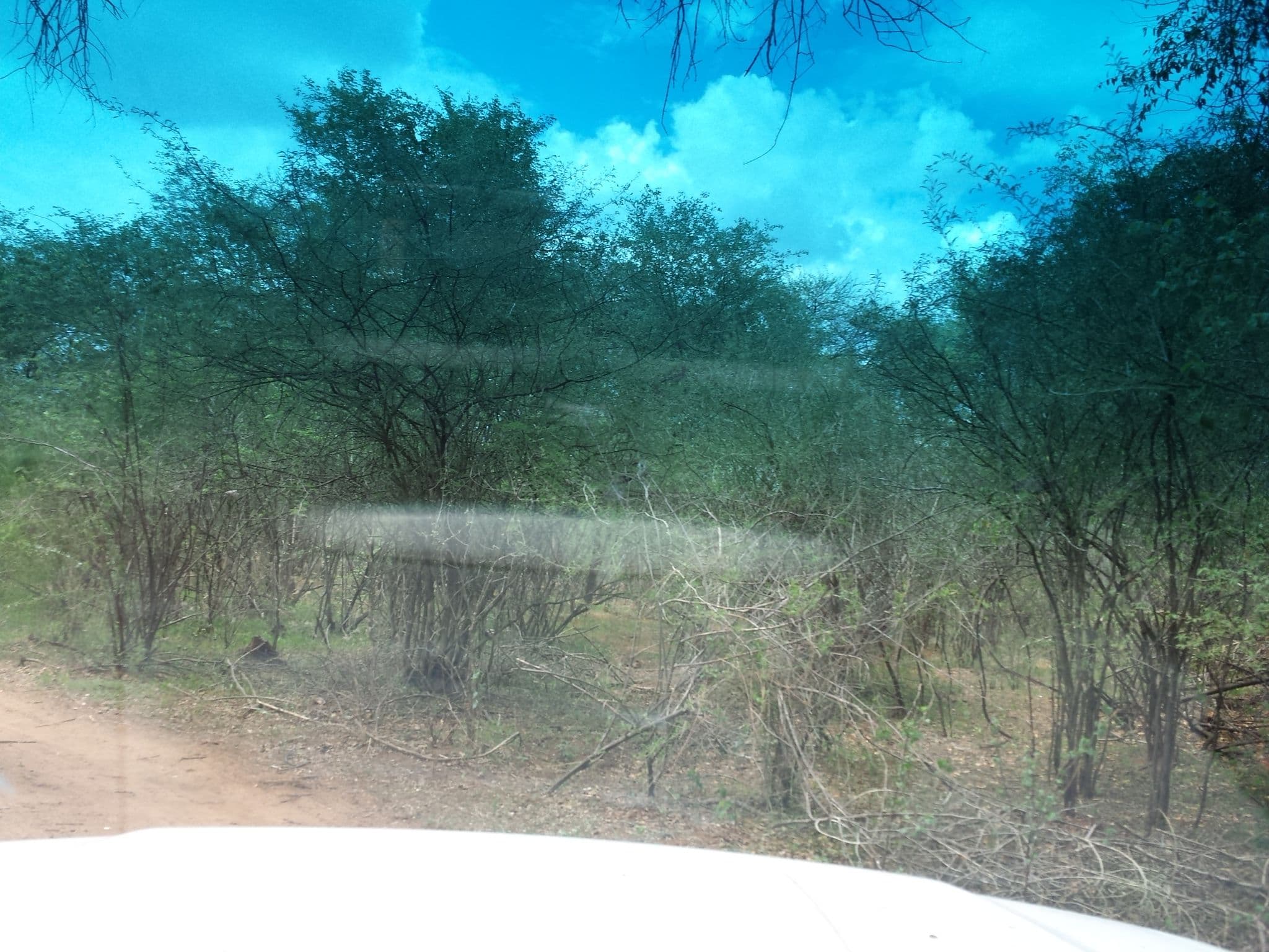 Street view near Campsite 8, Bagani — © staehler (CC BY-SA · Mapillary)