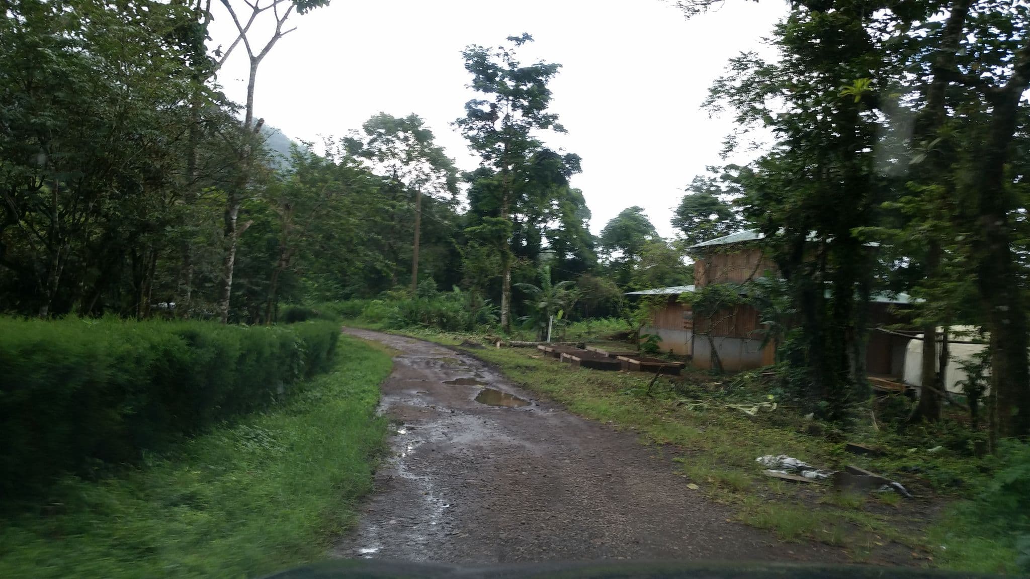 Street view near Guardianes del Bosque, Las Praderas — © jaakkoh (CC BY-SA · Mapillary)