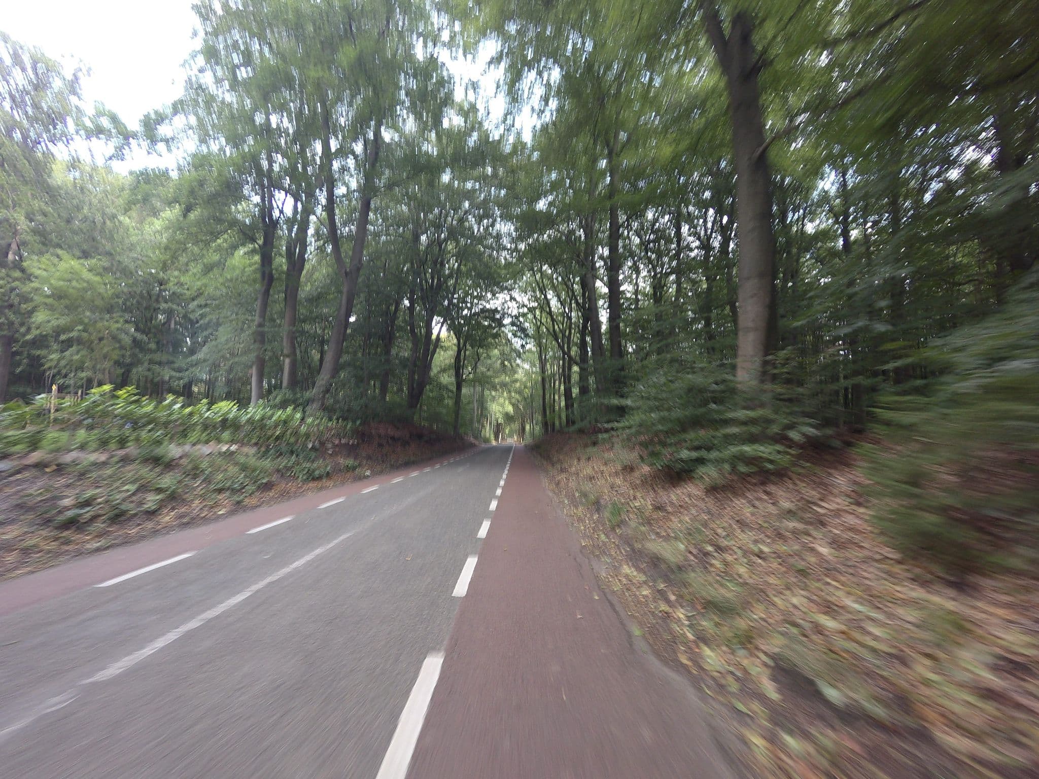 Street view near Huisje Bosbes, Berg en Bos — © ankeric (CC BY-SA · Mapillary)