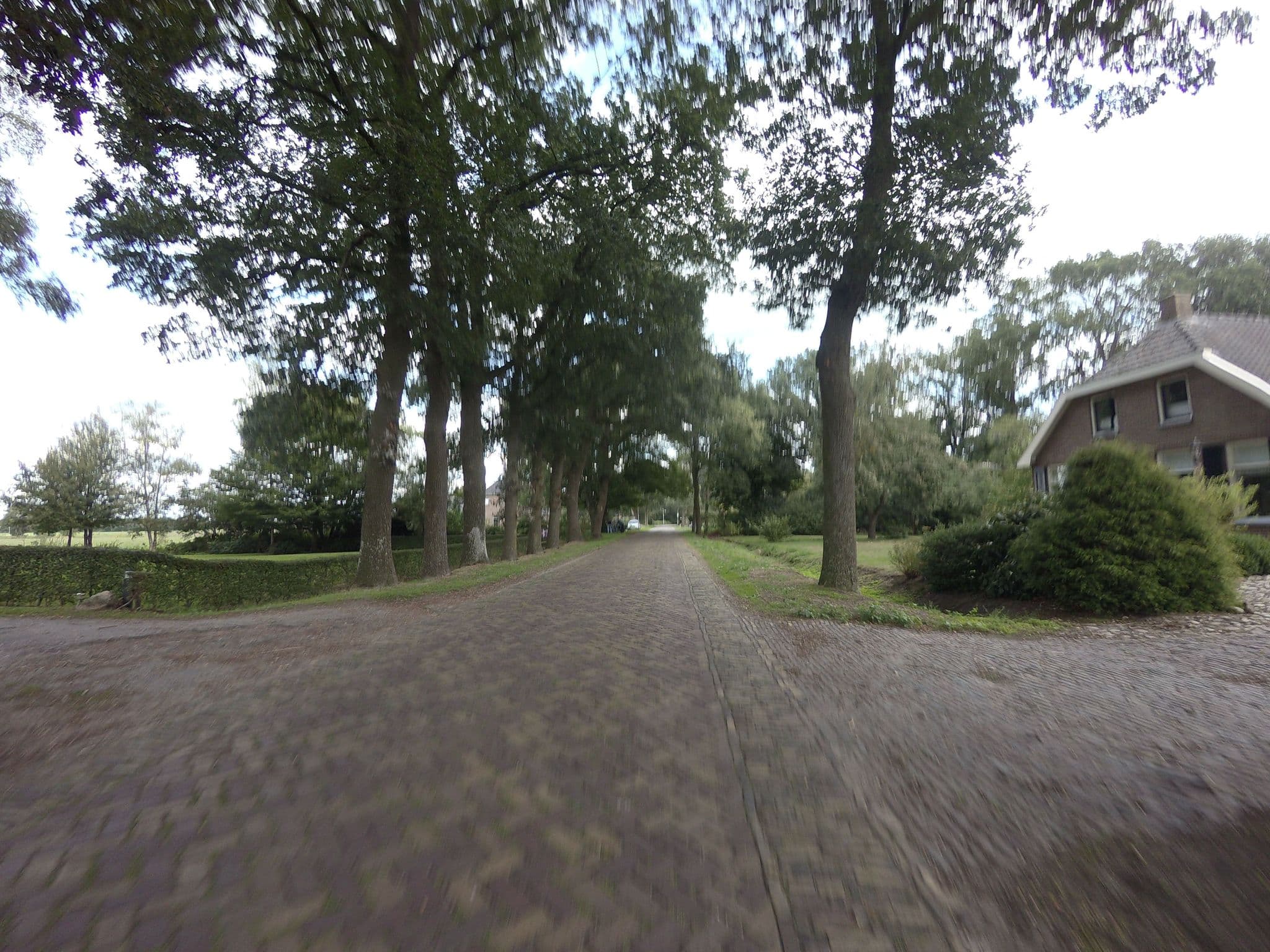 Street view near B&B Heerlijk op Hees, Ruinen — © ankeric (CC BY-SA · Mapillary)