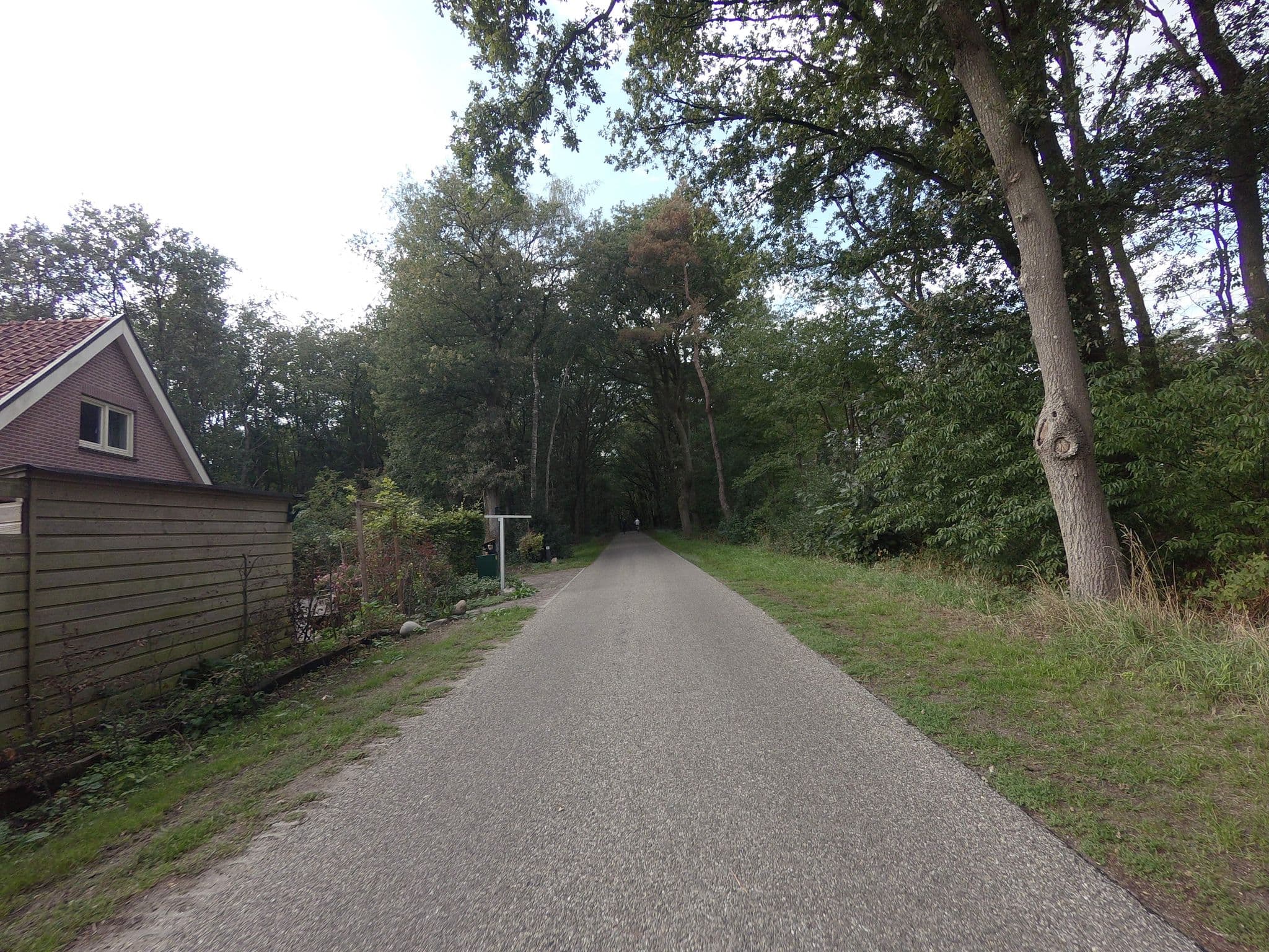 Street view near Klein Witteveen, Ruinen — © ankeric (CC BY-SA · Mapillary)