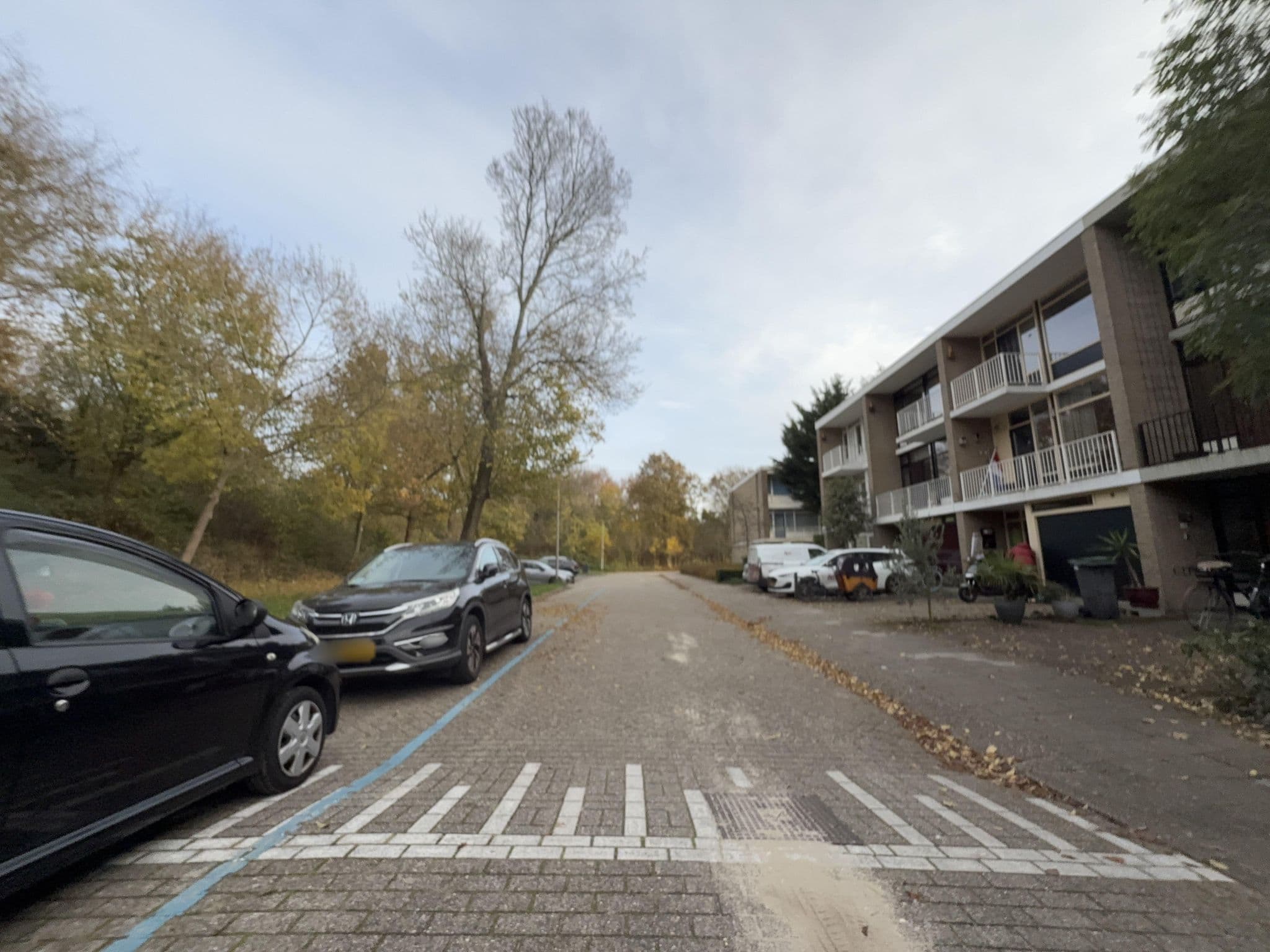 Street view near Red Rose, Duivendrecht — © ottor (CC BY-SA · Mapillary)
